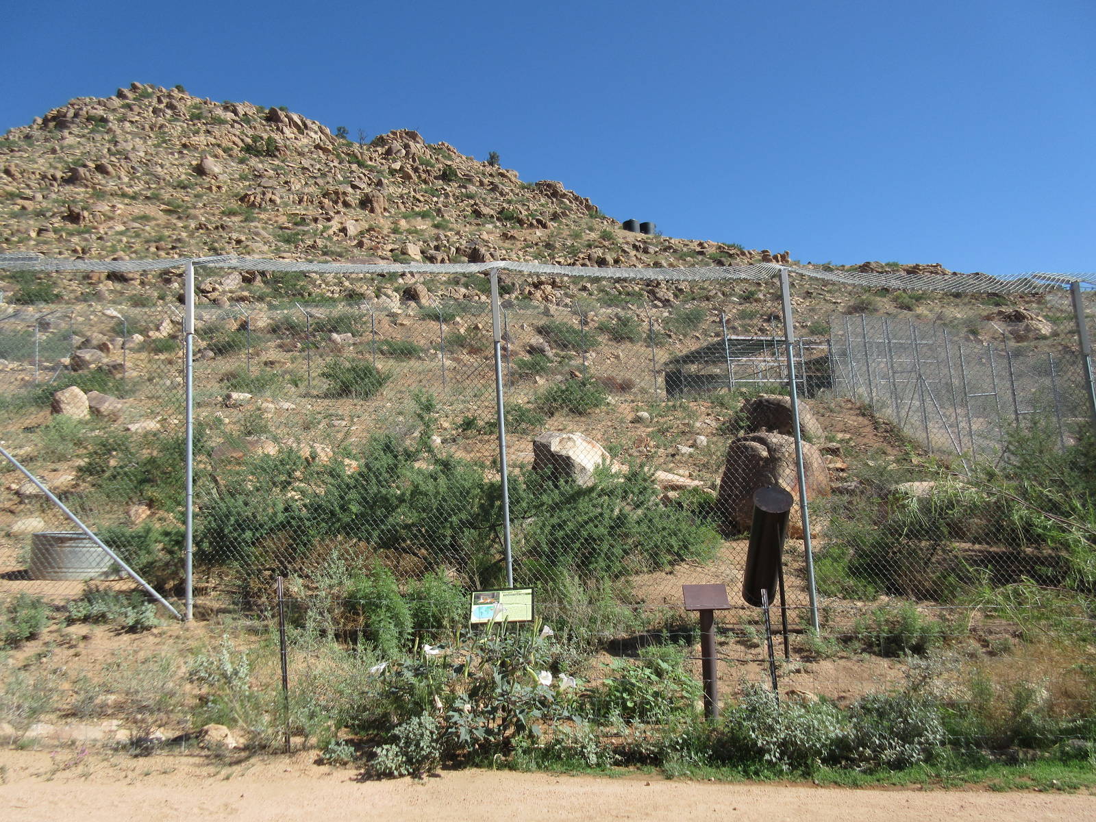Bengal Tiger Exhibit