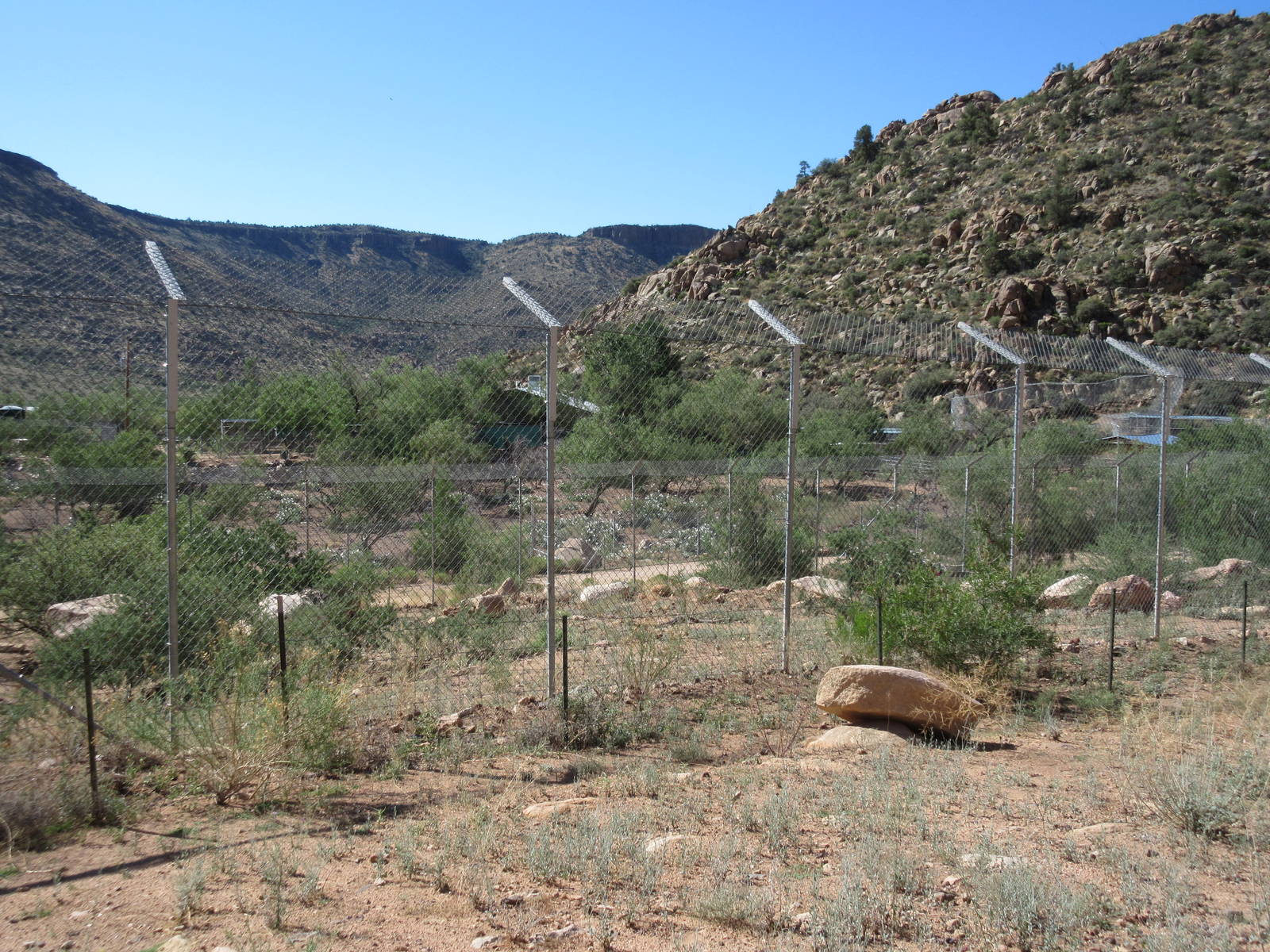 Bengal Tiger Exhibit