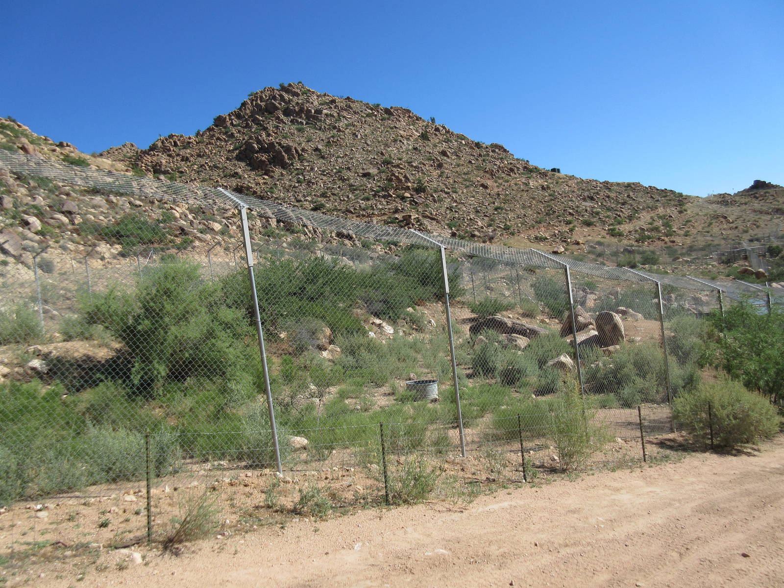 Bengal Tiger Exhibit