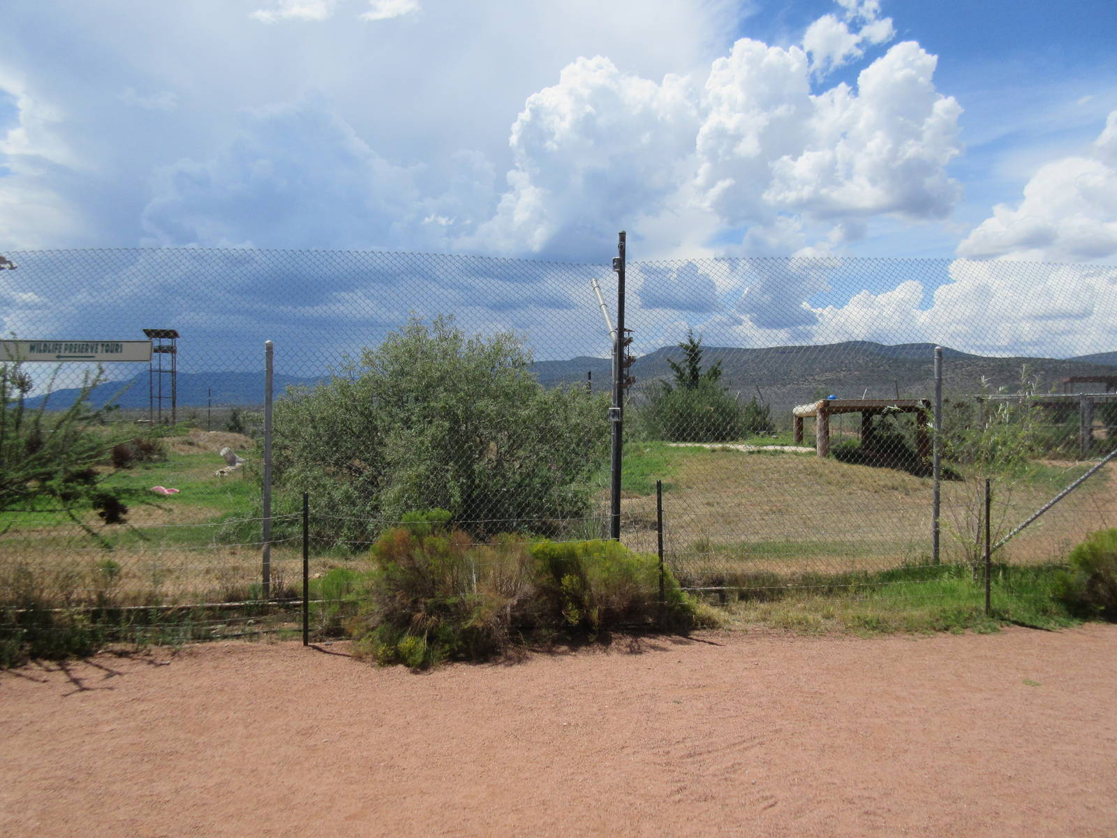 Bengal Tiger Exhibit
