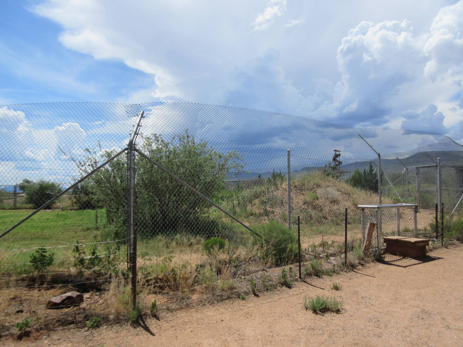 Bengal Tiger Exhibit