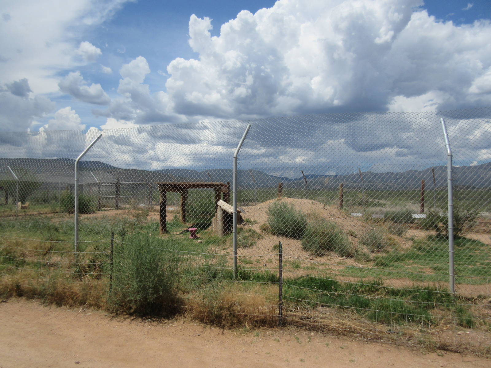 Bengal Tiger Exhibit
