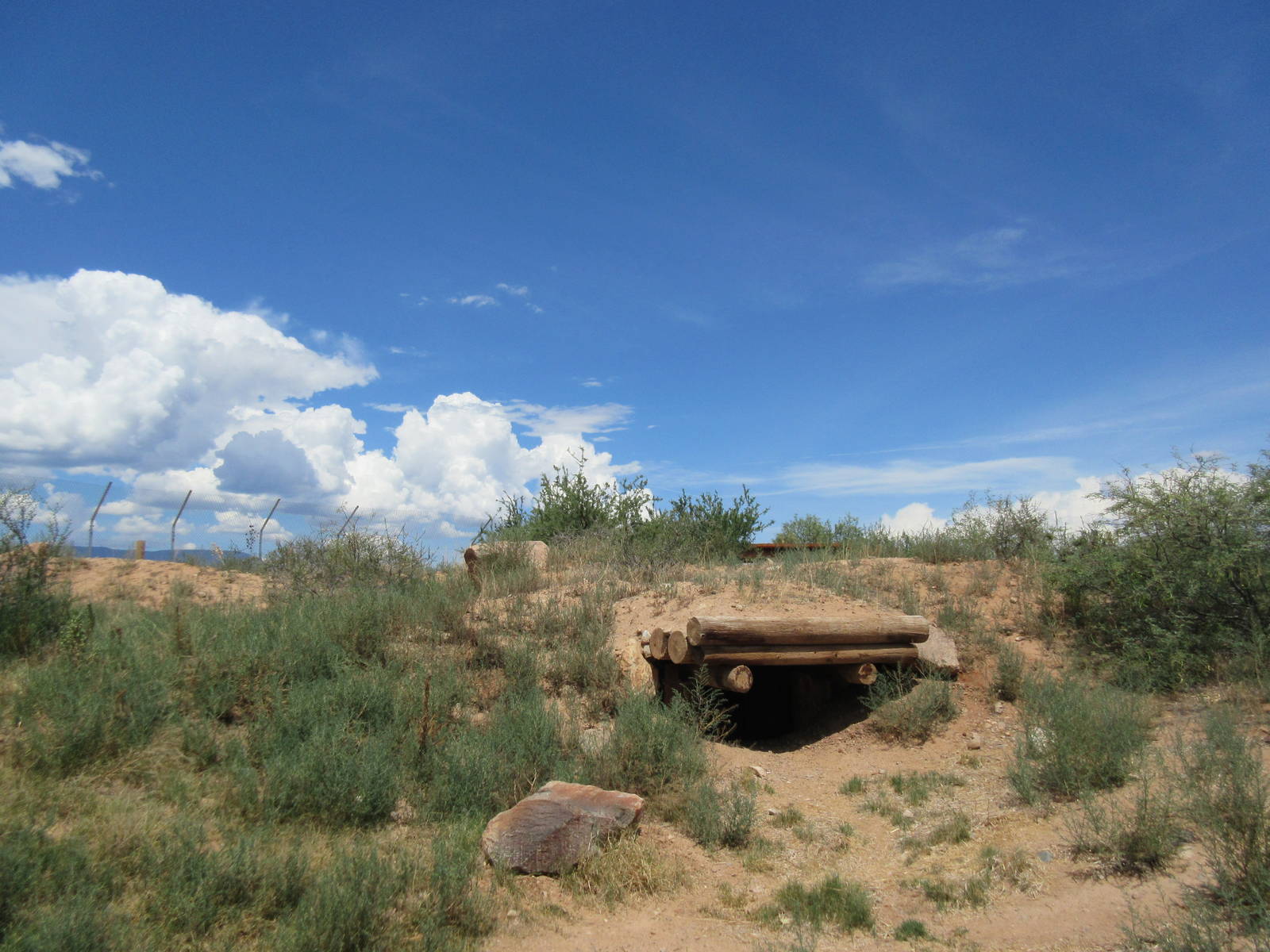 Bengal Tiger Exhibit