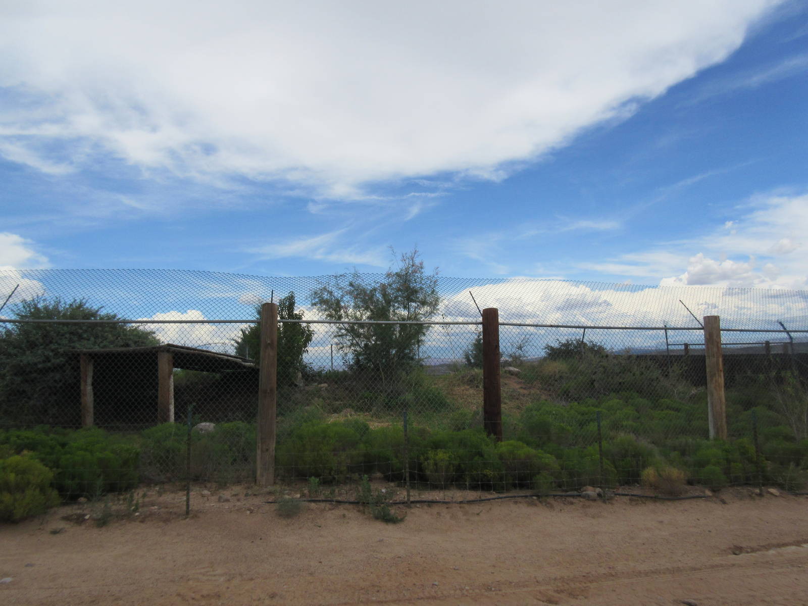 Bengal Tiger Exhibit