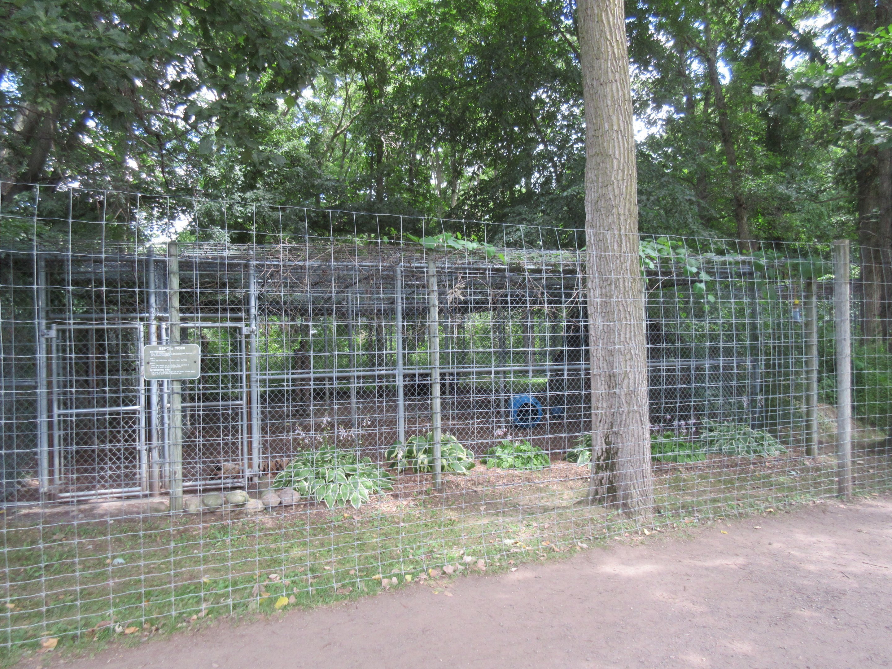 Bengal Tiger Exhibit
