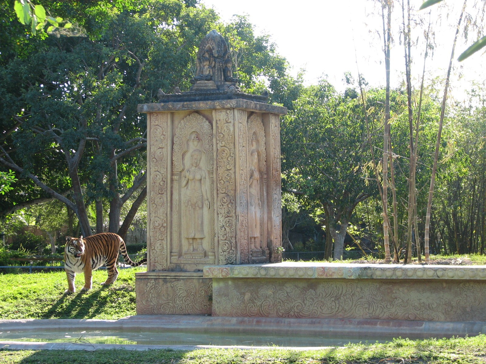 Bengal Tiger Exhibit