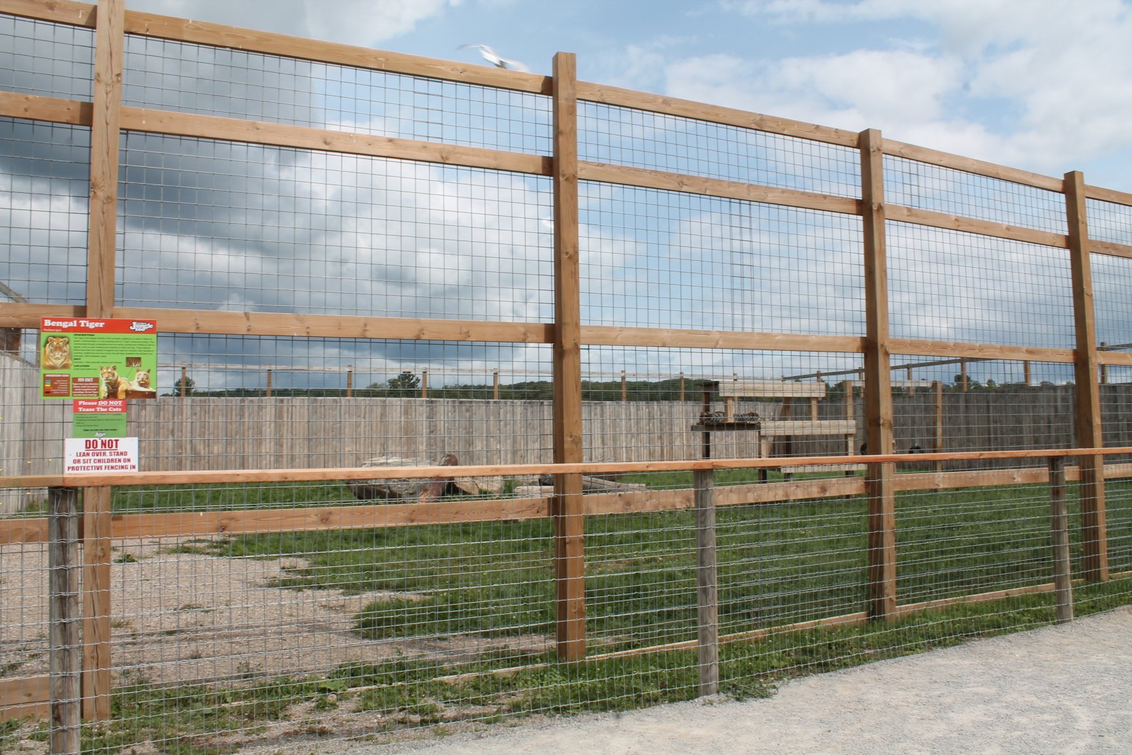 Bengal tiger exhibit