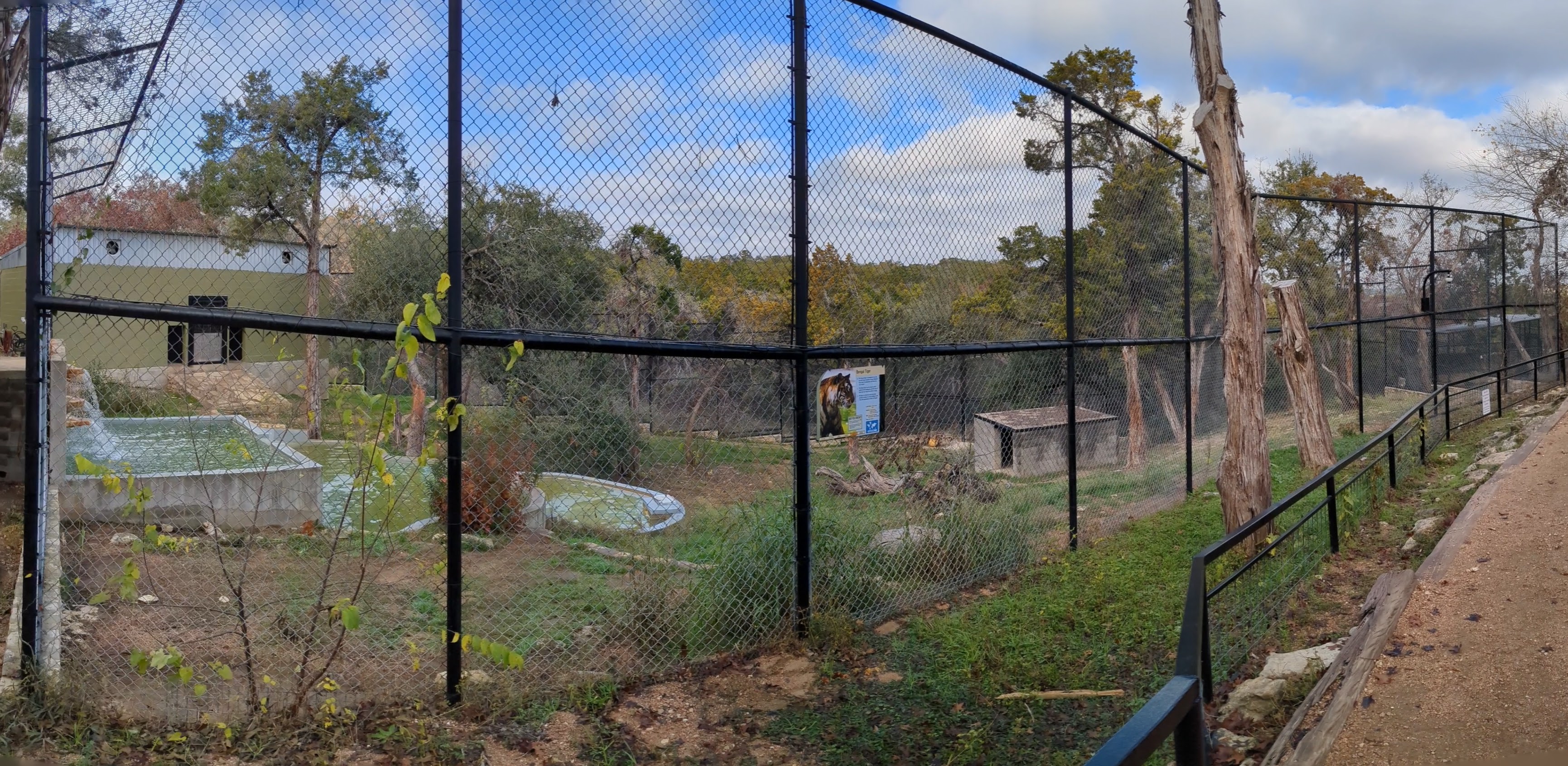 "Bengal" tiger habitat #2
