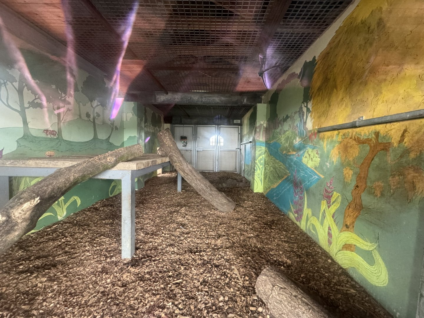 Bengal Tiger Indoor Enclosure at Wolds Wildlife Park (March 2024)