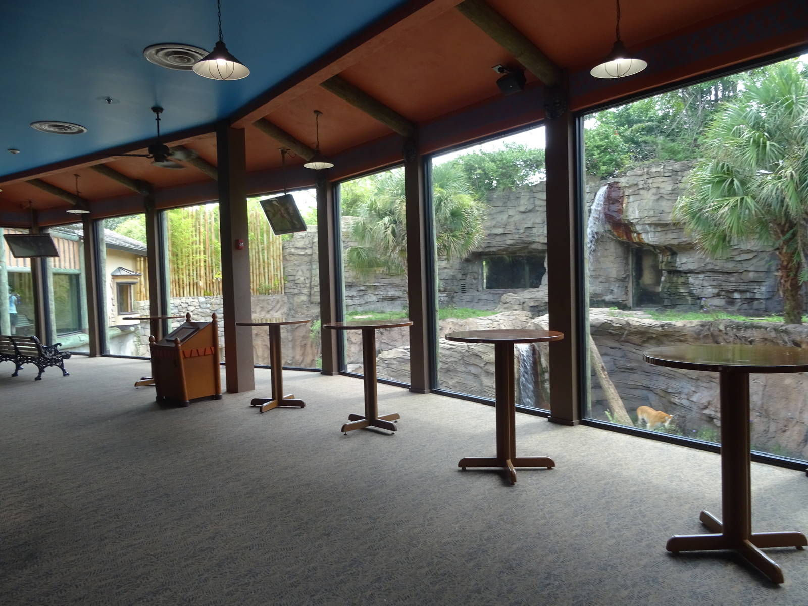 Bengal Tiger Indoor Viewing Area at Busch Gardens Tampa