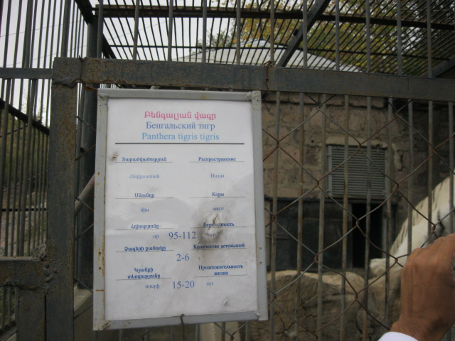 bengal tiger panel ( Armenia ) Yerevan zoo