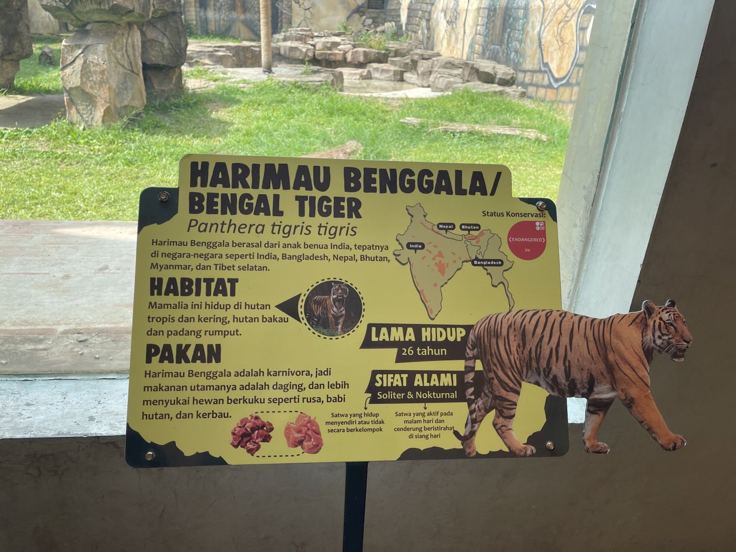 bengal tiger signage (1)
