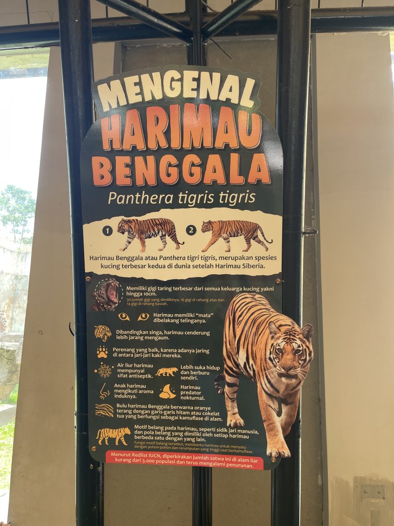 bengal tiger signage (2)