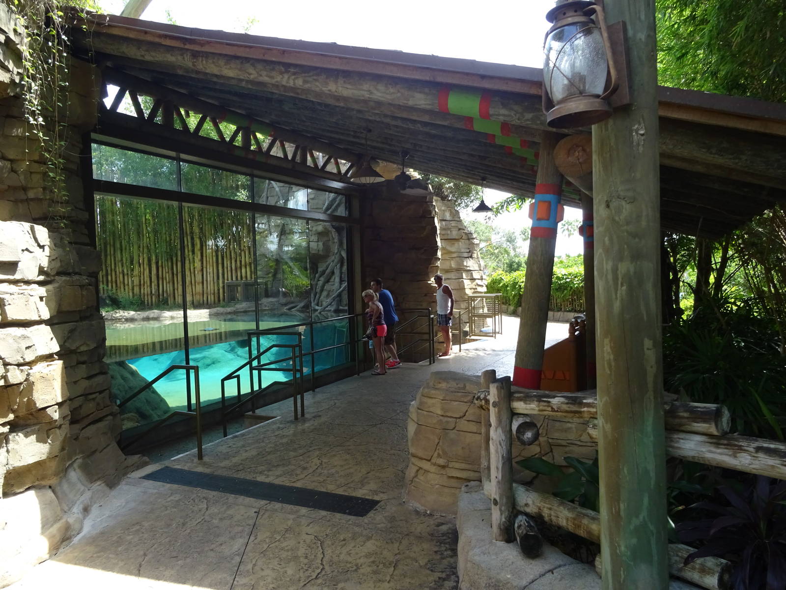 Bengal Tiger Underwater Viewing Area at Busch Gardens Tampa