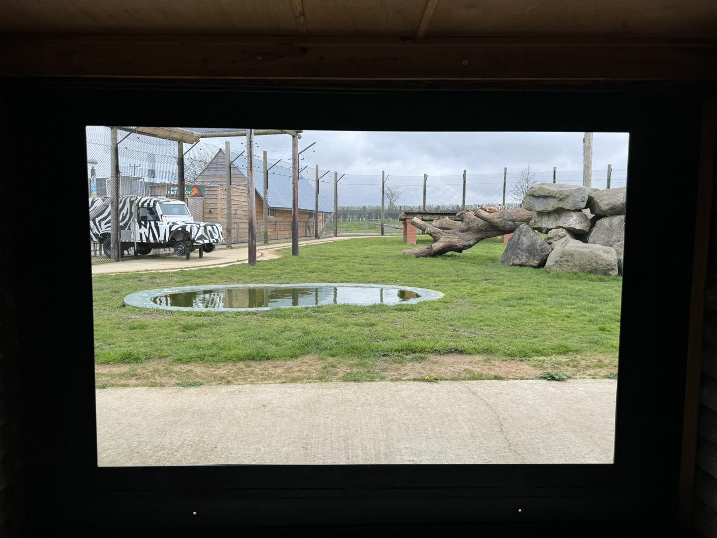 Bengal Tiger Viewing Area at Wolds Wildlife Park (March 2024)