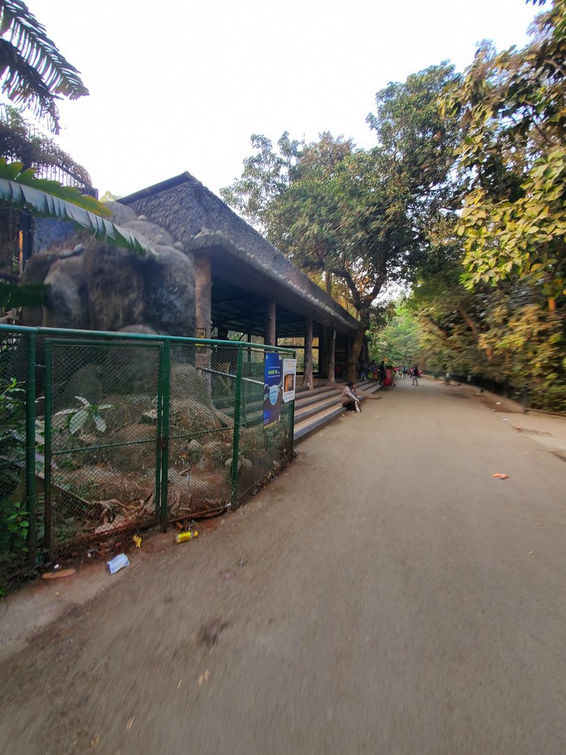 Bengal Tiger Viewing Area - January 2023