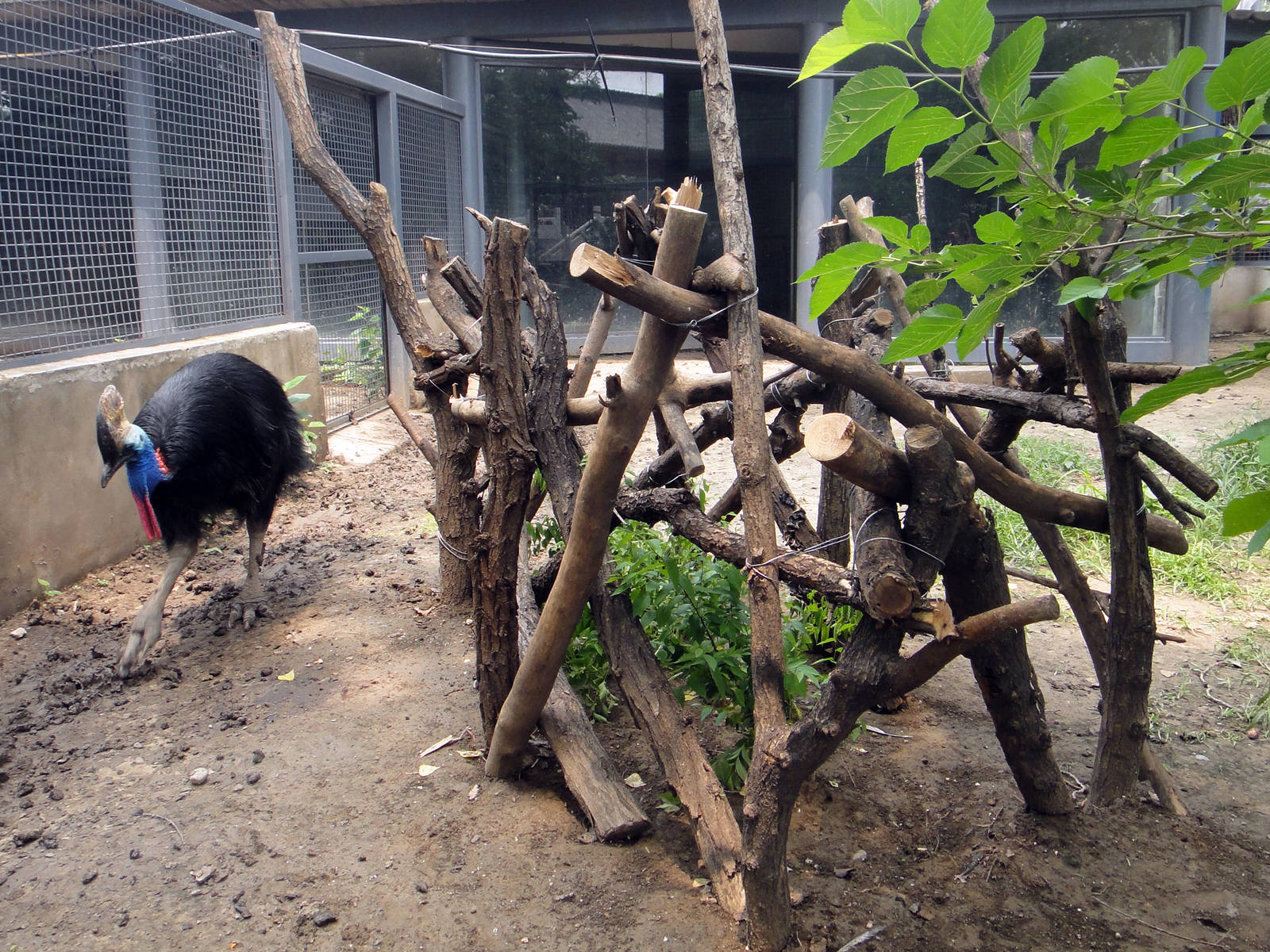 Benjeshecken? How to say this in English?