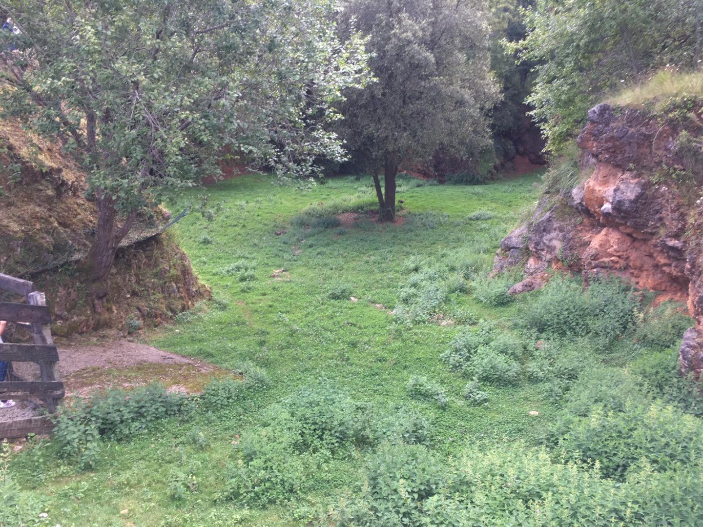 Bennet's wallaby exhibit-Cabarceno 2019