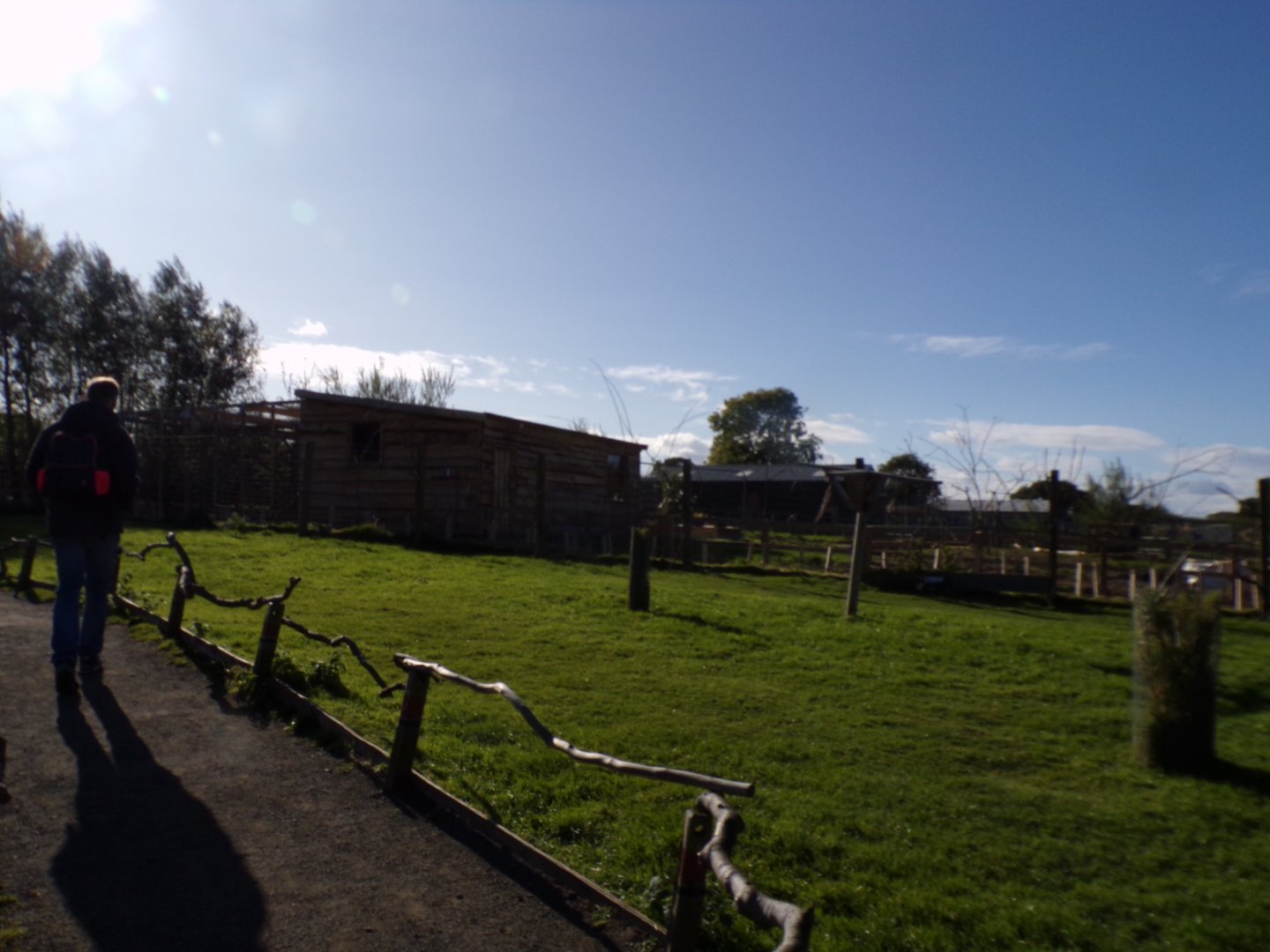 Bennett’s and parma wallaby walkthrough enclosure 14.10.23