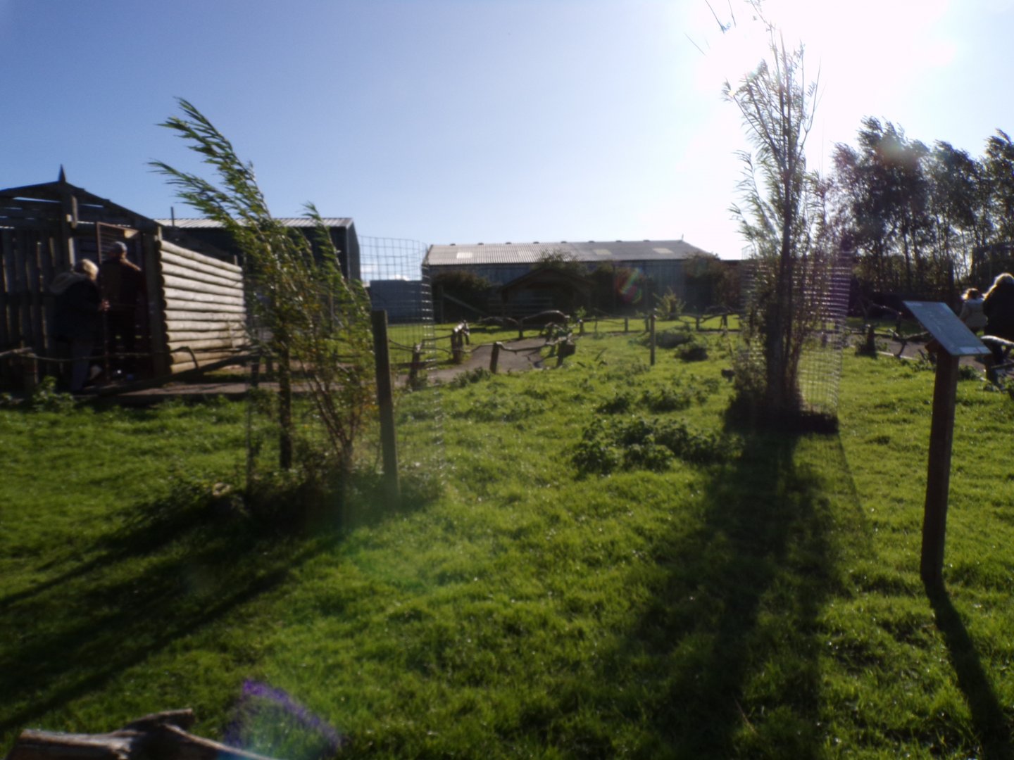 Bennett’s and parma wallaby walkthrough enclosure 14.10.23