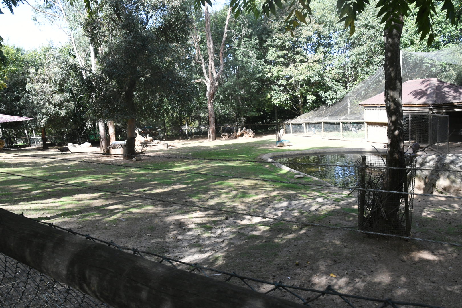 Bennett's Wallabies and Emus exhibit