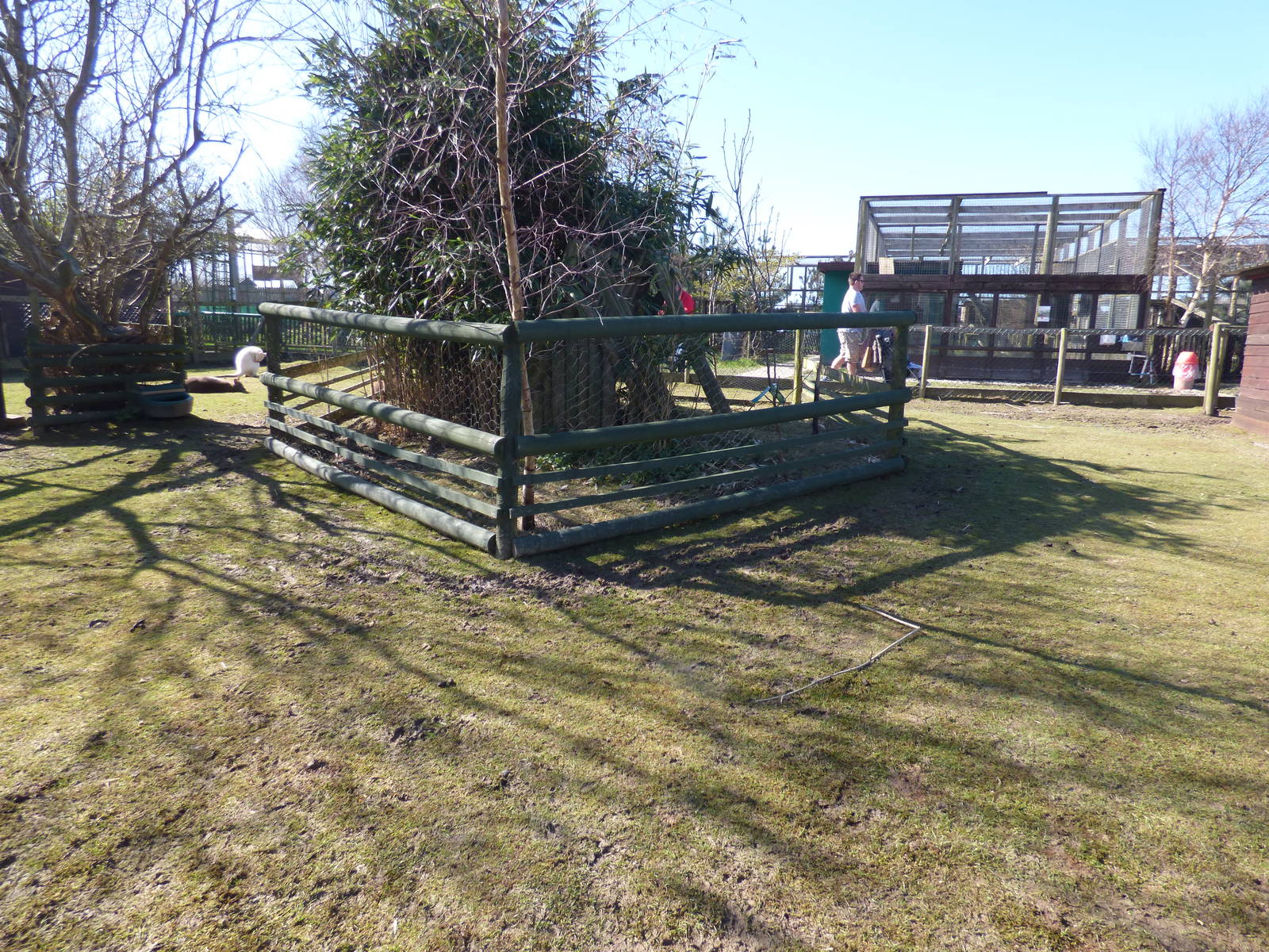 Bennett's Wallaby 2nd Enclosure