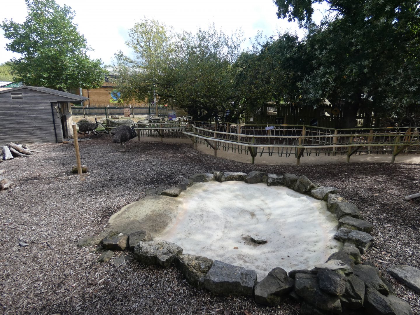 Bennett's wallaby and emu enclosure