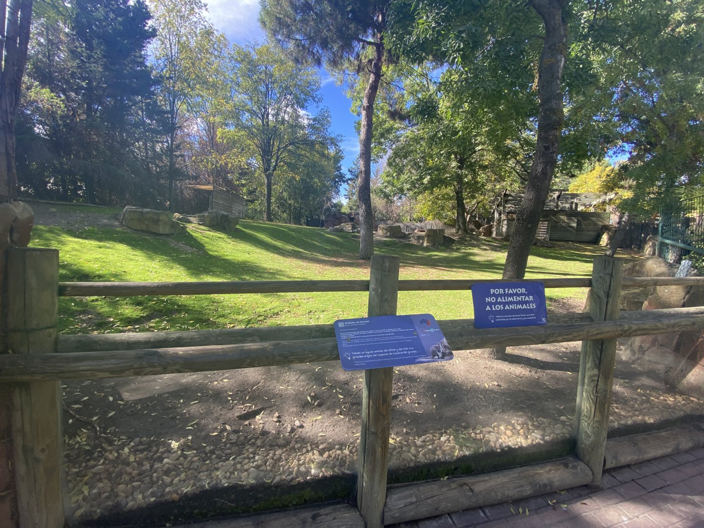 Bennett’s wallaby and emu enclosure