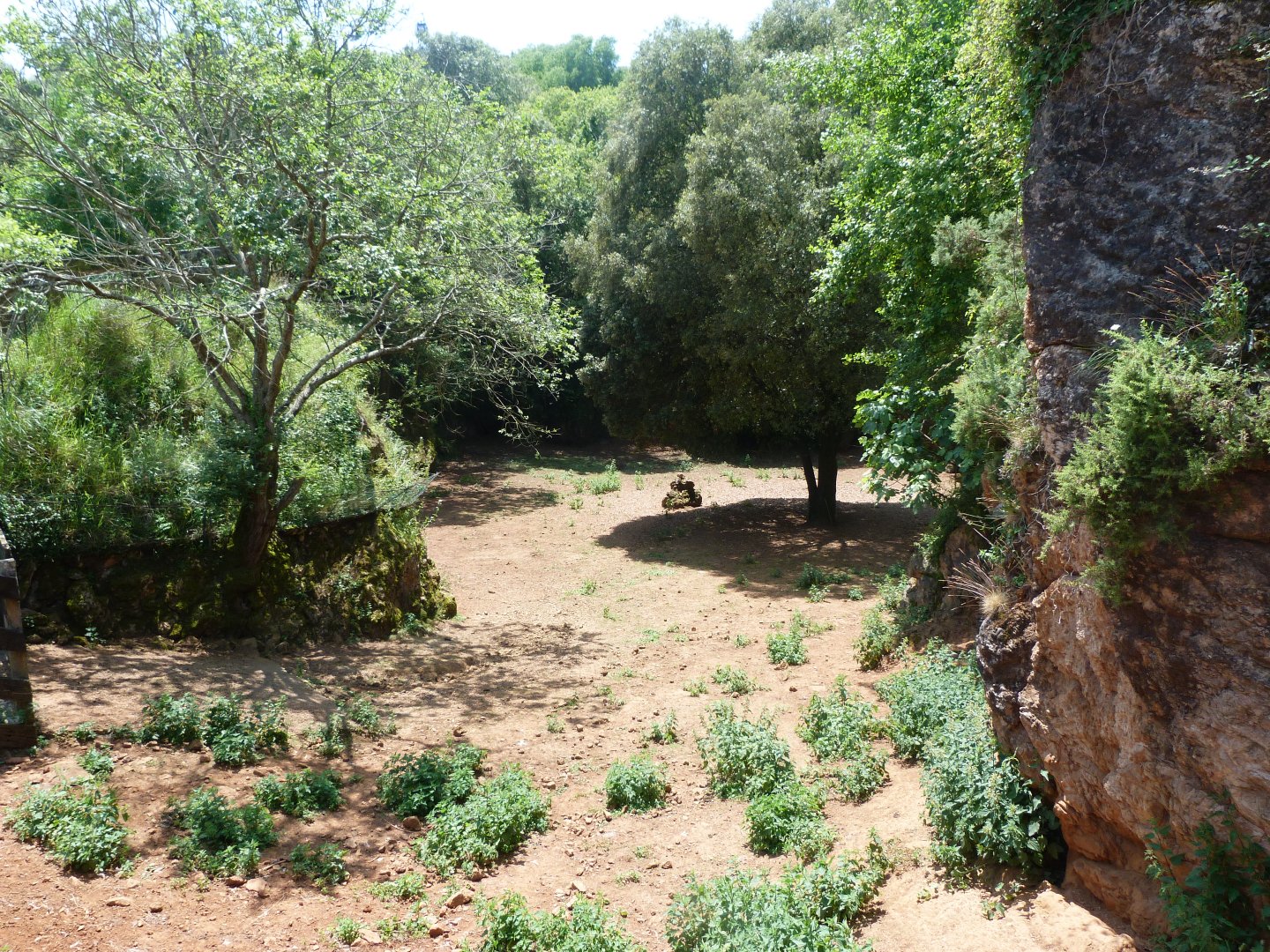 Bennett's wallaby and Emu exhibit -Parque de la Naturaleza de Cabárceno (2025)