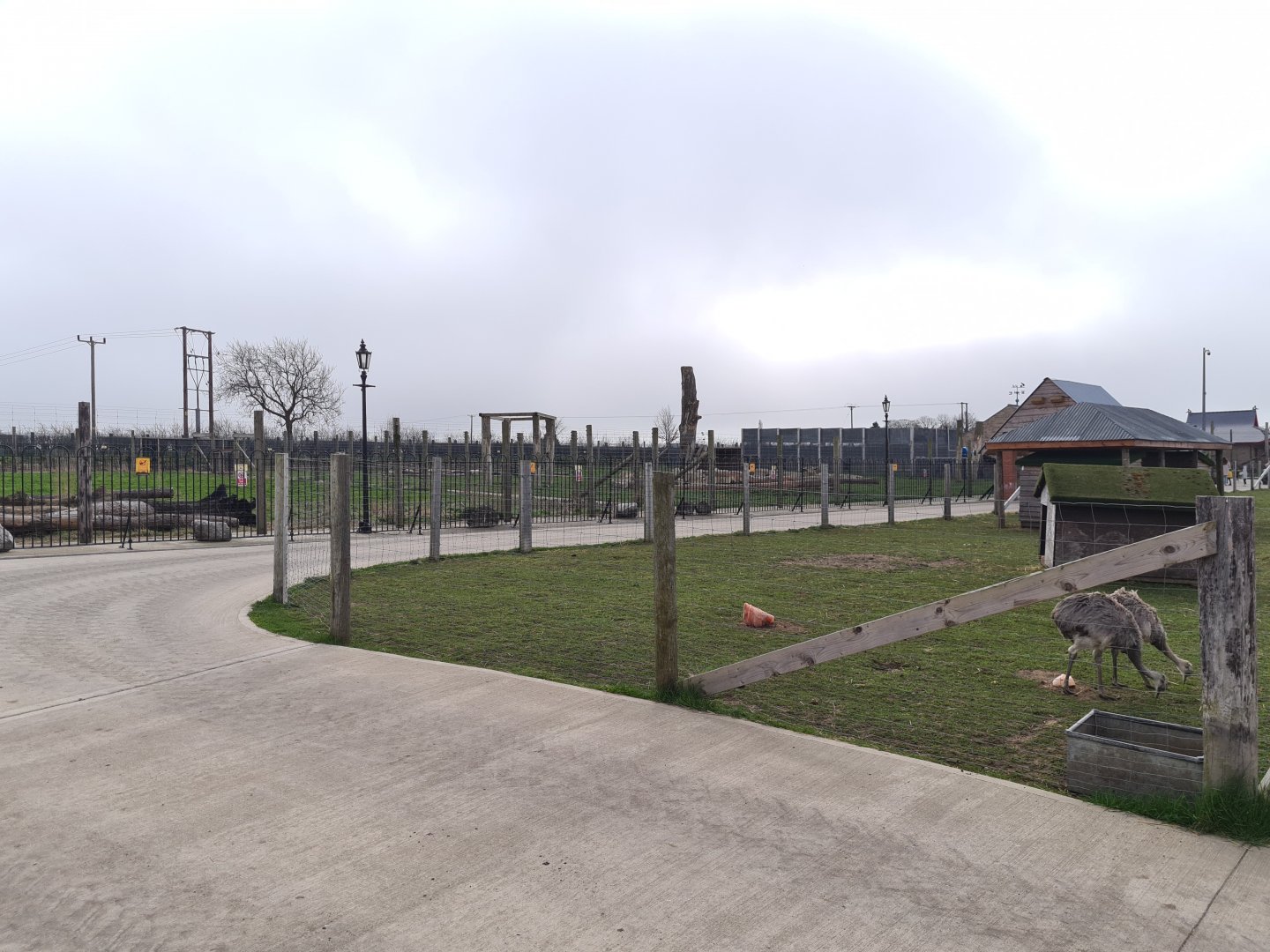 Bennett's Wallaby and Rhea exhibit, Wolds Wildlife Park