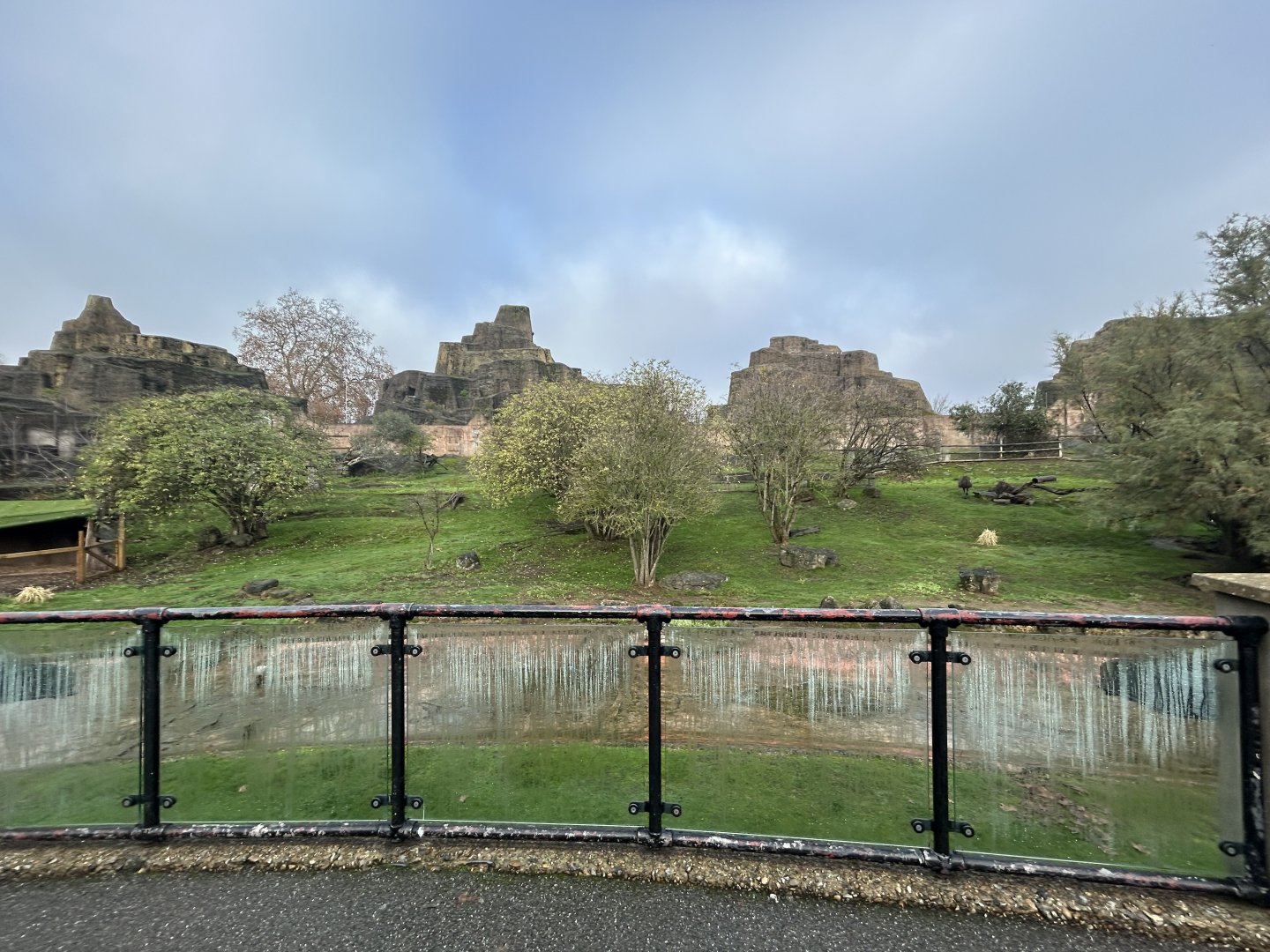 Bennett’s Wallaby & Emu Exhibit (Mappin Terraces)
