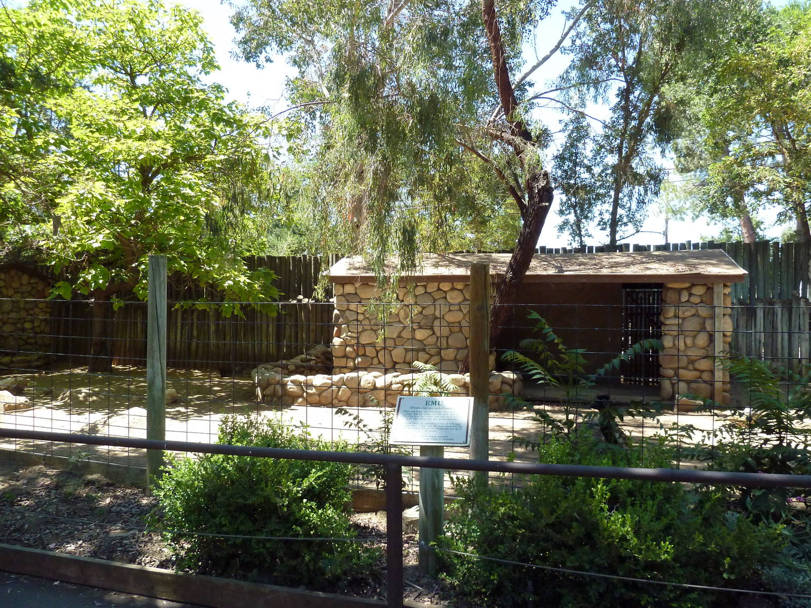 Bennett's Wallaby/Emu Exhibit