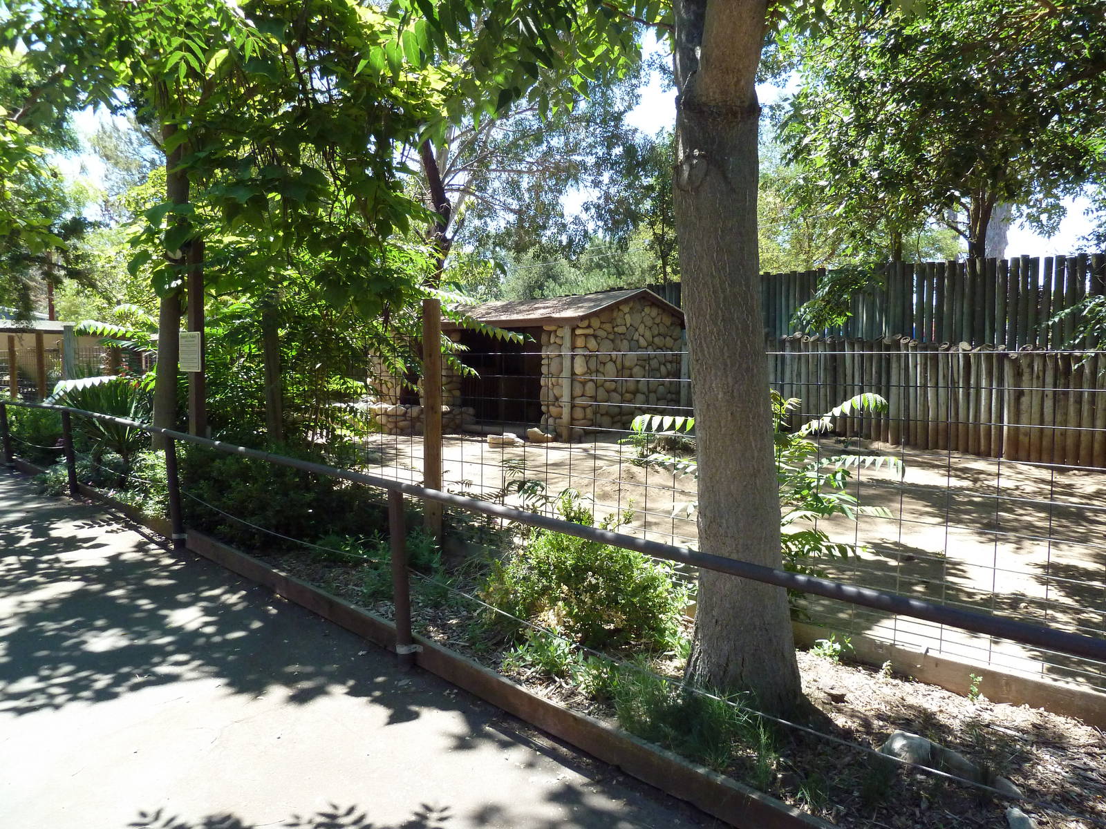Bennett's Wallaby/Emu Exhibit