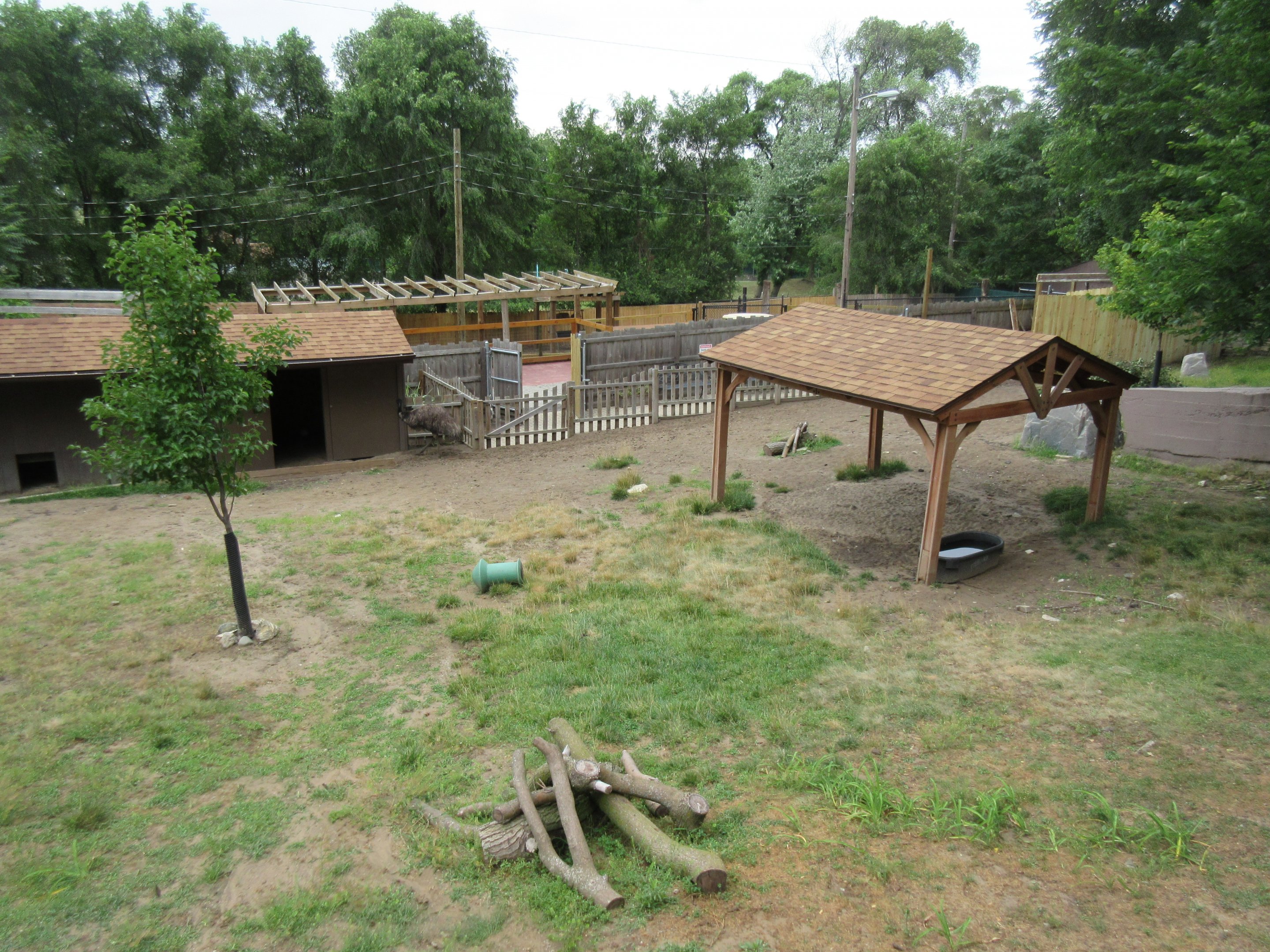 Bennett's Wallaby/Emu Exhibit