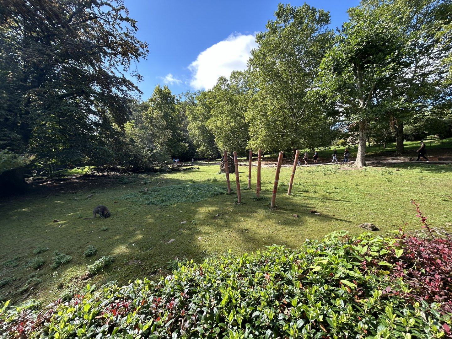 Bennett’s Wallaby & Emu Exhibit