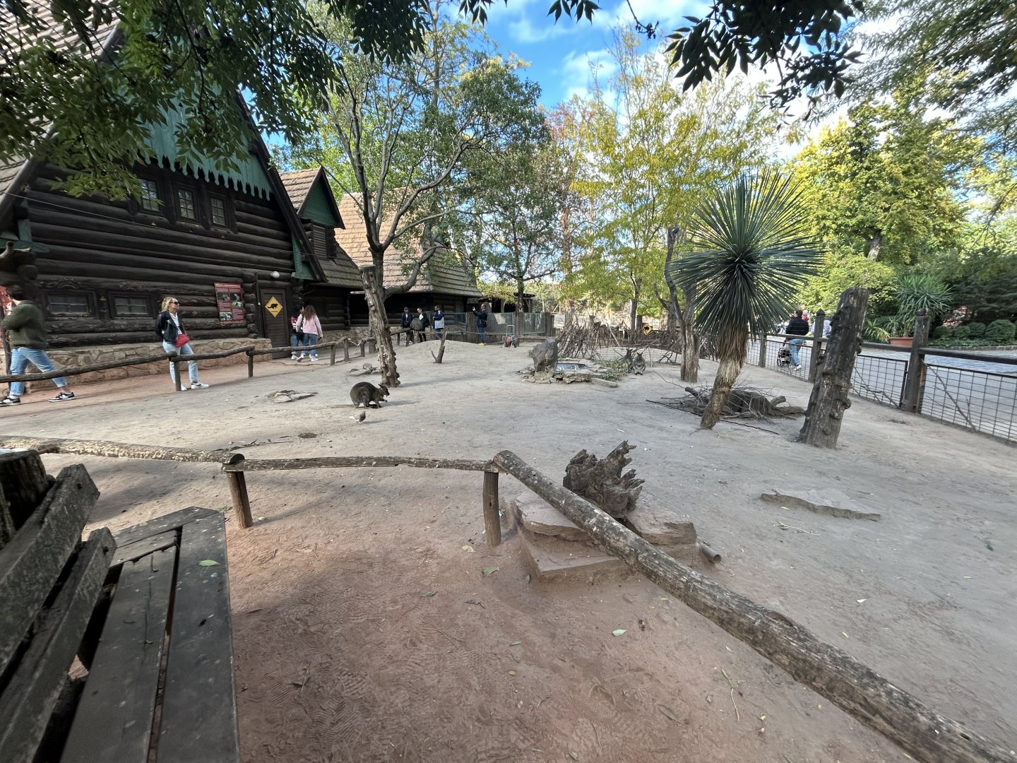 Bennett’s Wallaby & Emu Exhibit