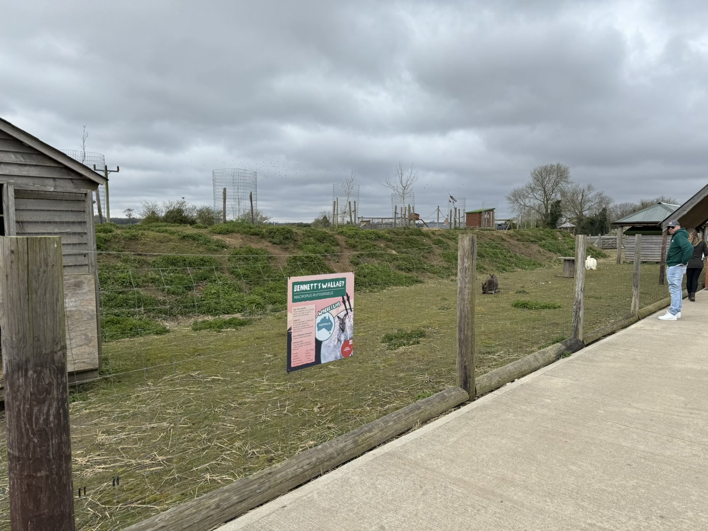 Bennett's Wallaby Enclosure at Wolds Wildlife Park (March 2024)