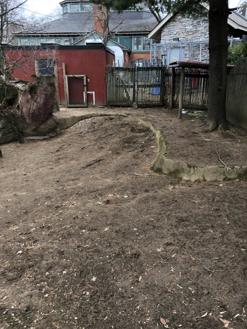 Bennett's Wallaby Enclosure - Feb, 2020