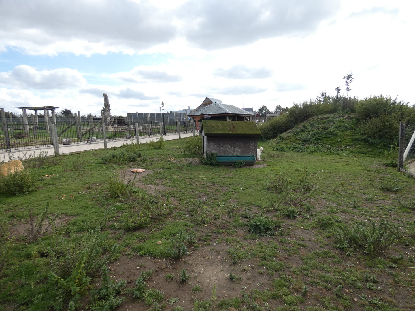 Bennett's wallaby enclosure