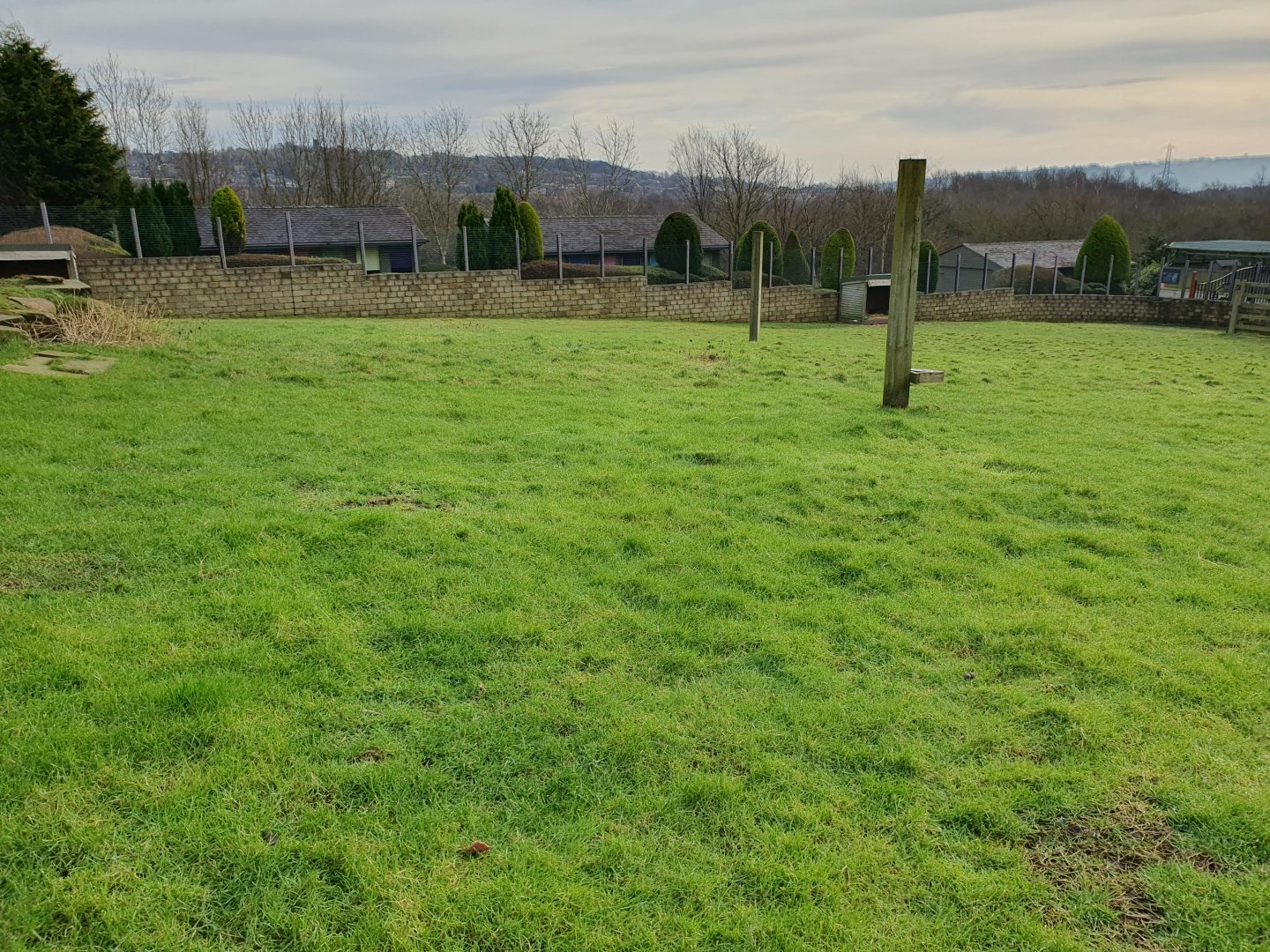 Bennett's Wallaby enclosure