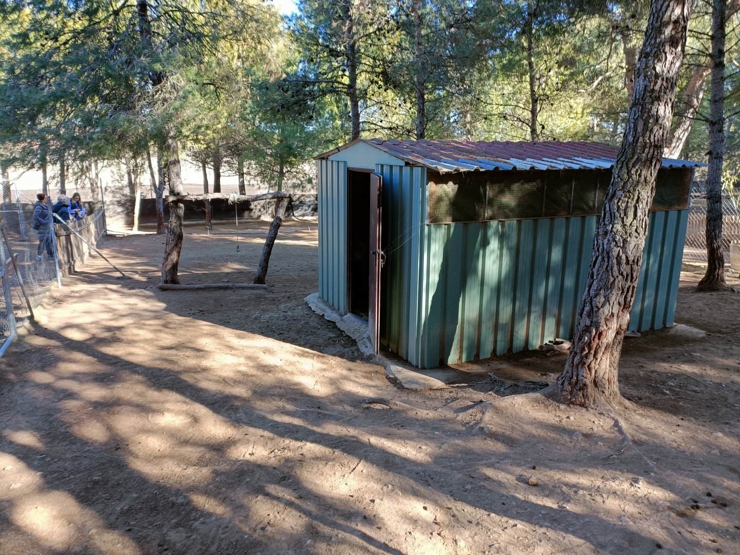 Bennett's wallaby exhibit - Bioparque La Rocha