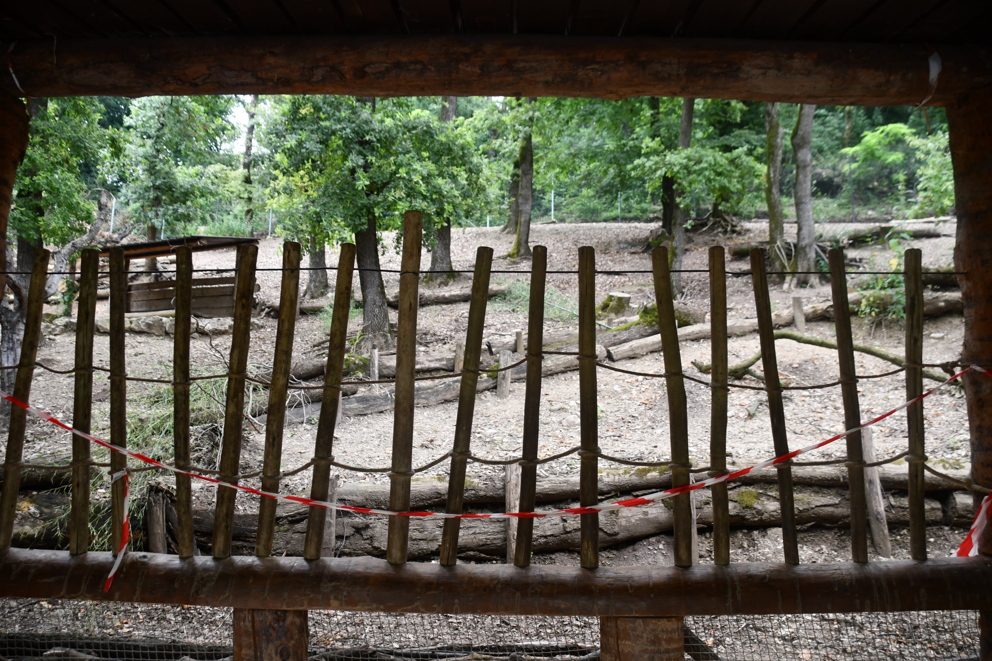 Bennett's Wallaby exhibit viewing area