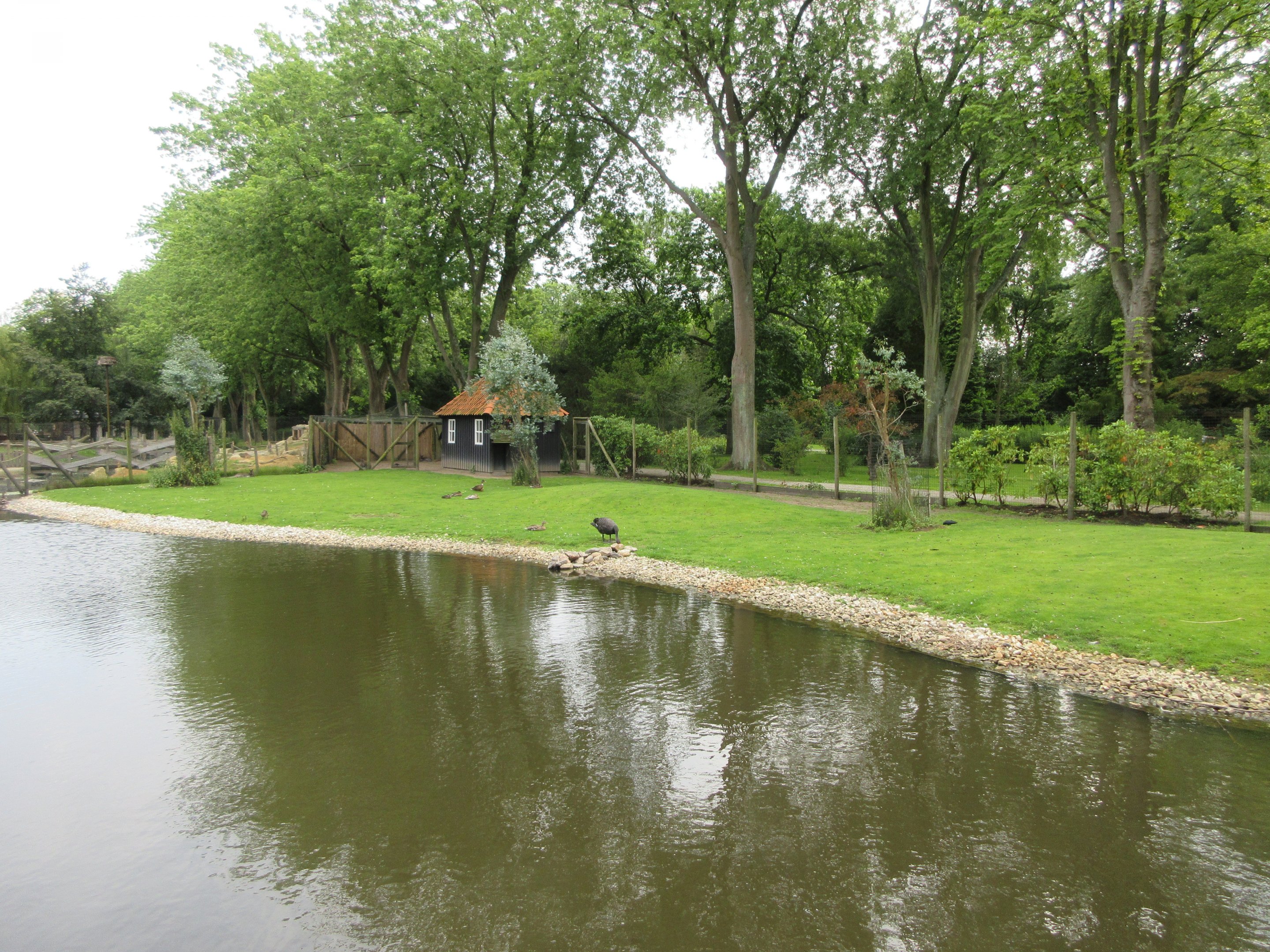 Bennett's Wallaby Exhibit