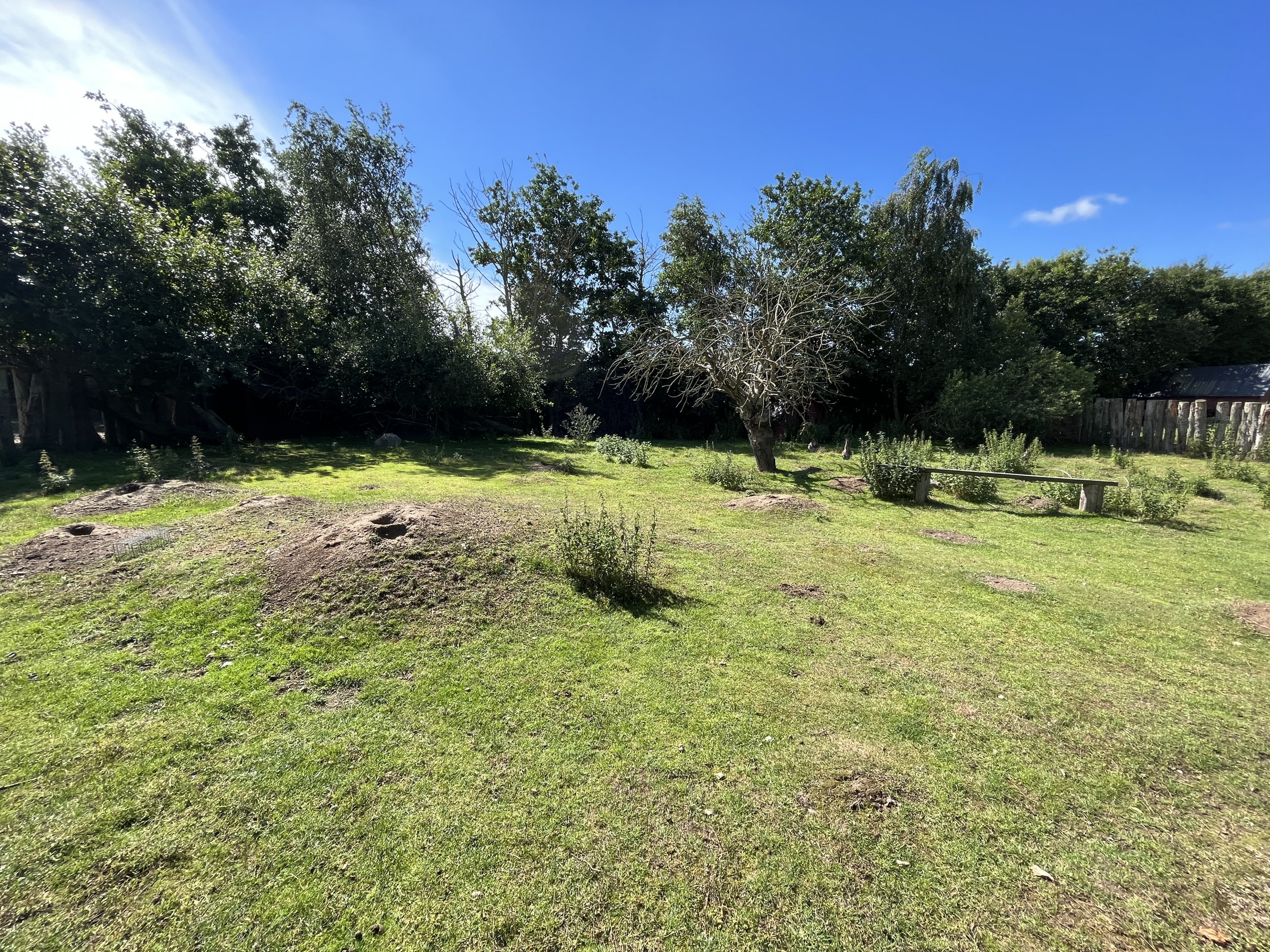 Bennett’s Wallaby Exhibit
