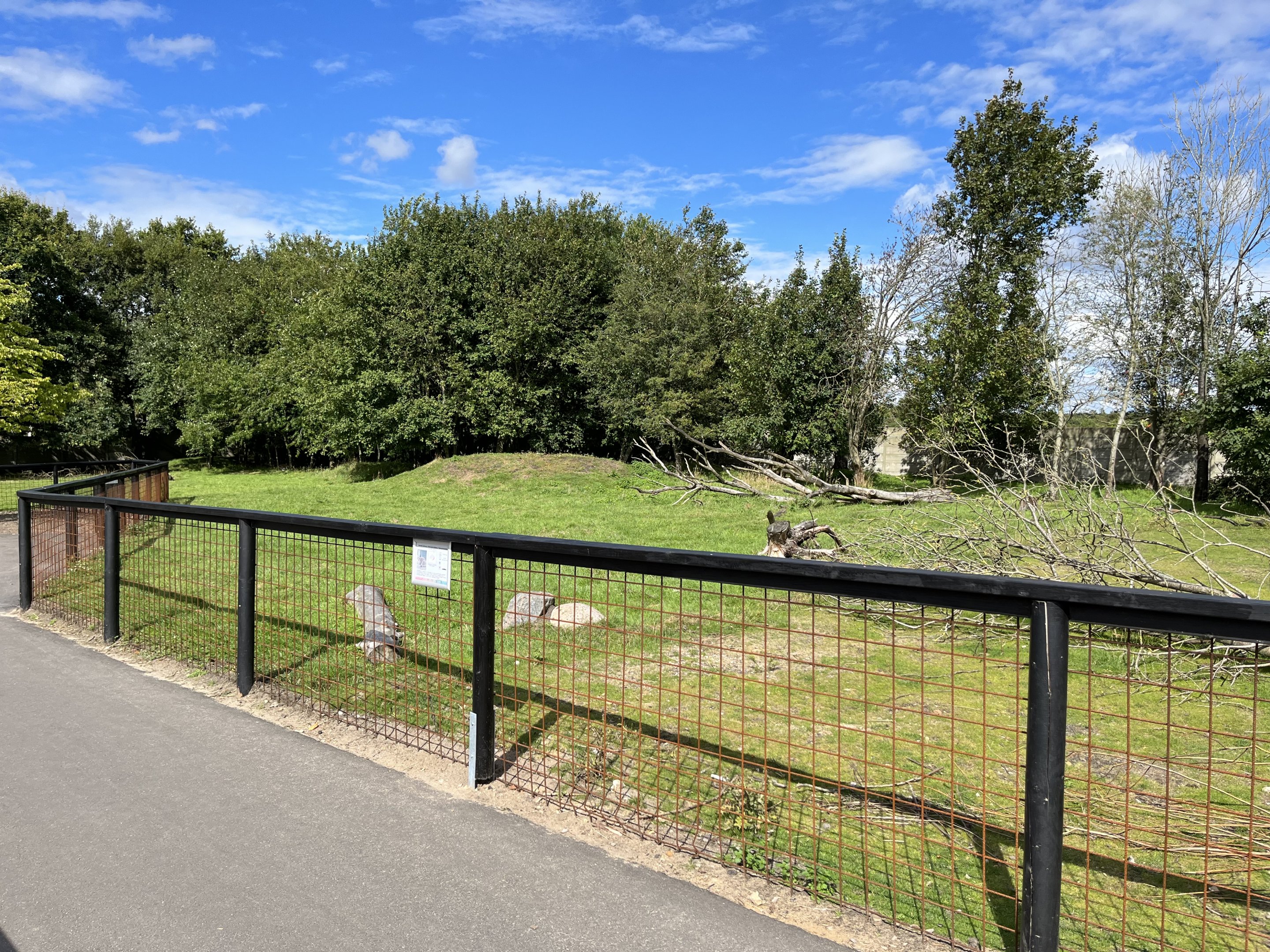 Bennett’s Wallaby Exhibit