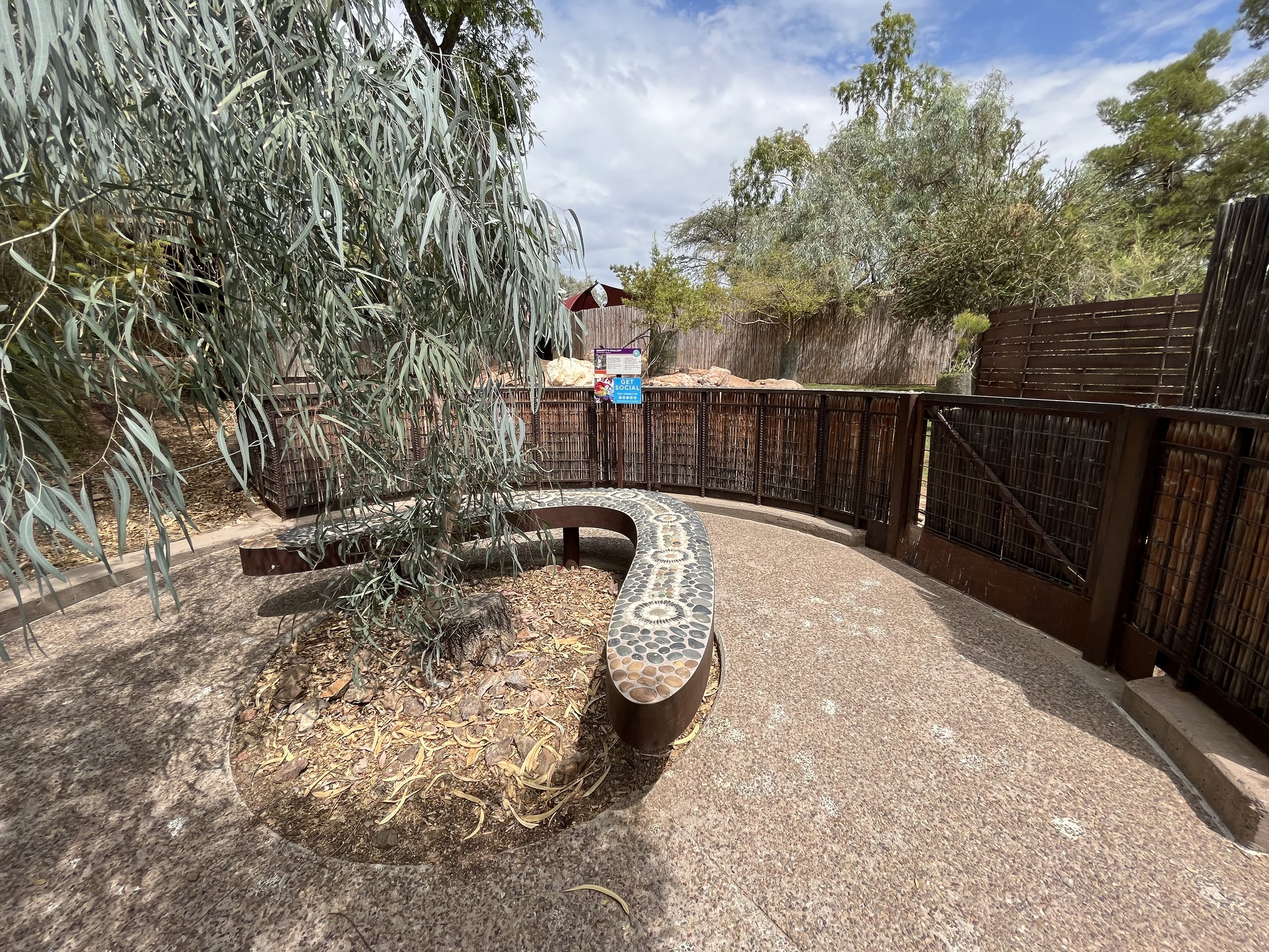 Bennett’s Wallaby Exhibit