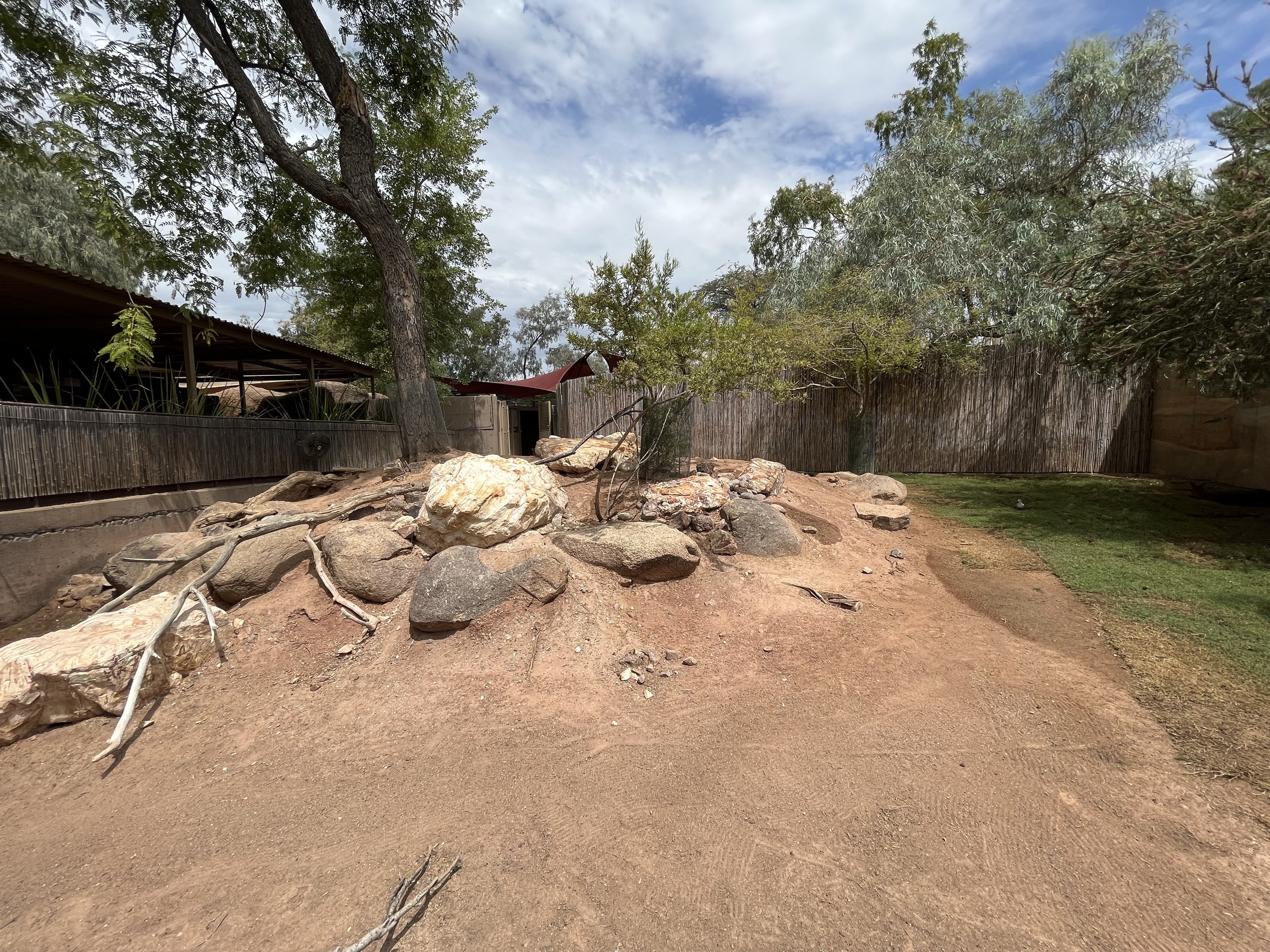 Bennett’s Wallaby Exhibit