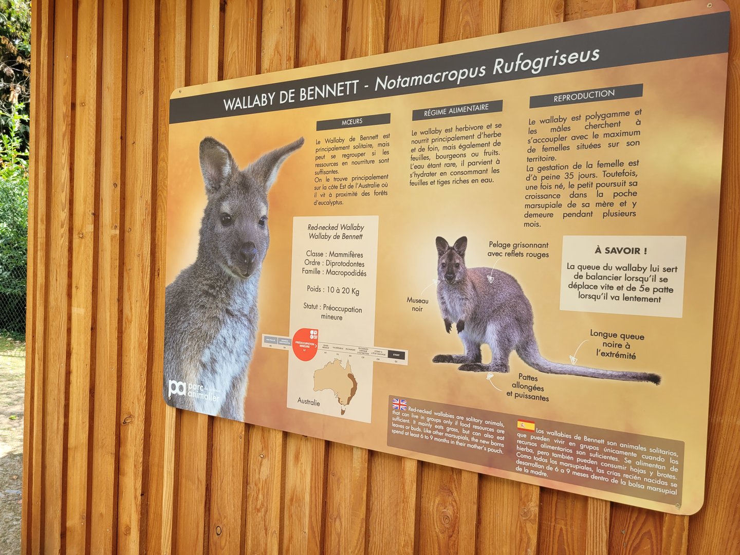 Bennett's wallaby sign -Parc Animalier des Pyrénées (2023)