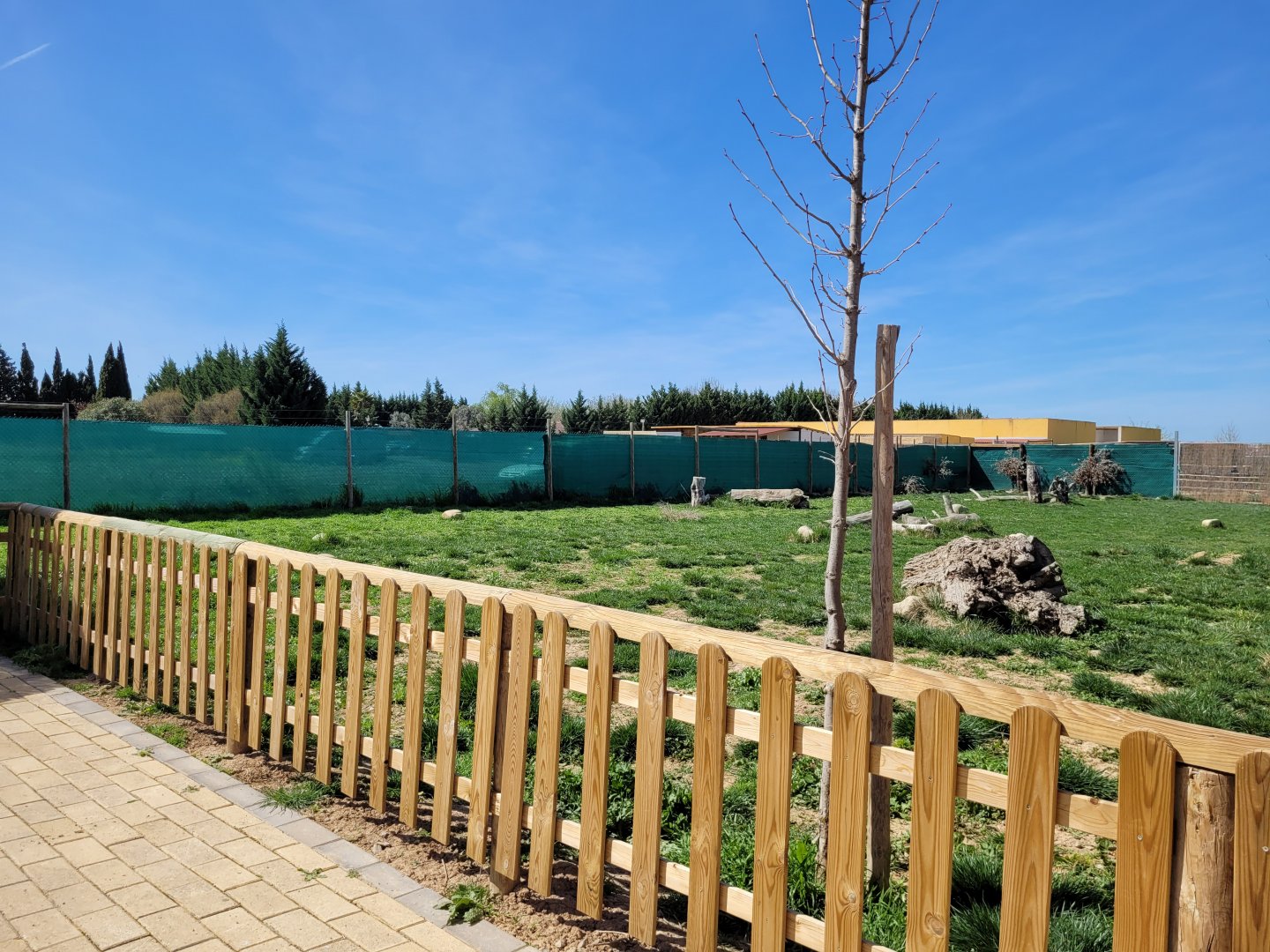 Bennett's wallaby, Swamp wallaby, Emu and African spurred tortoise exhibit -Tierra Rapaz (2024)