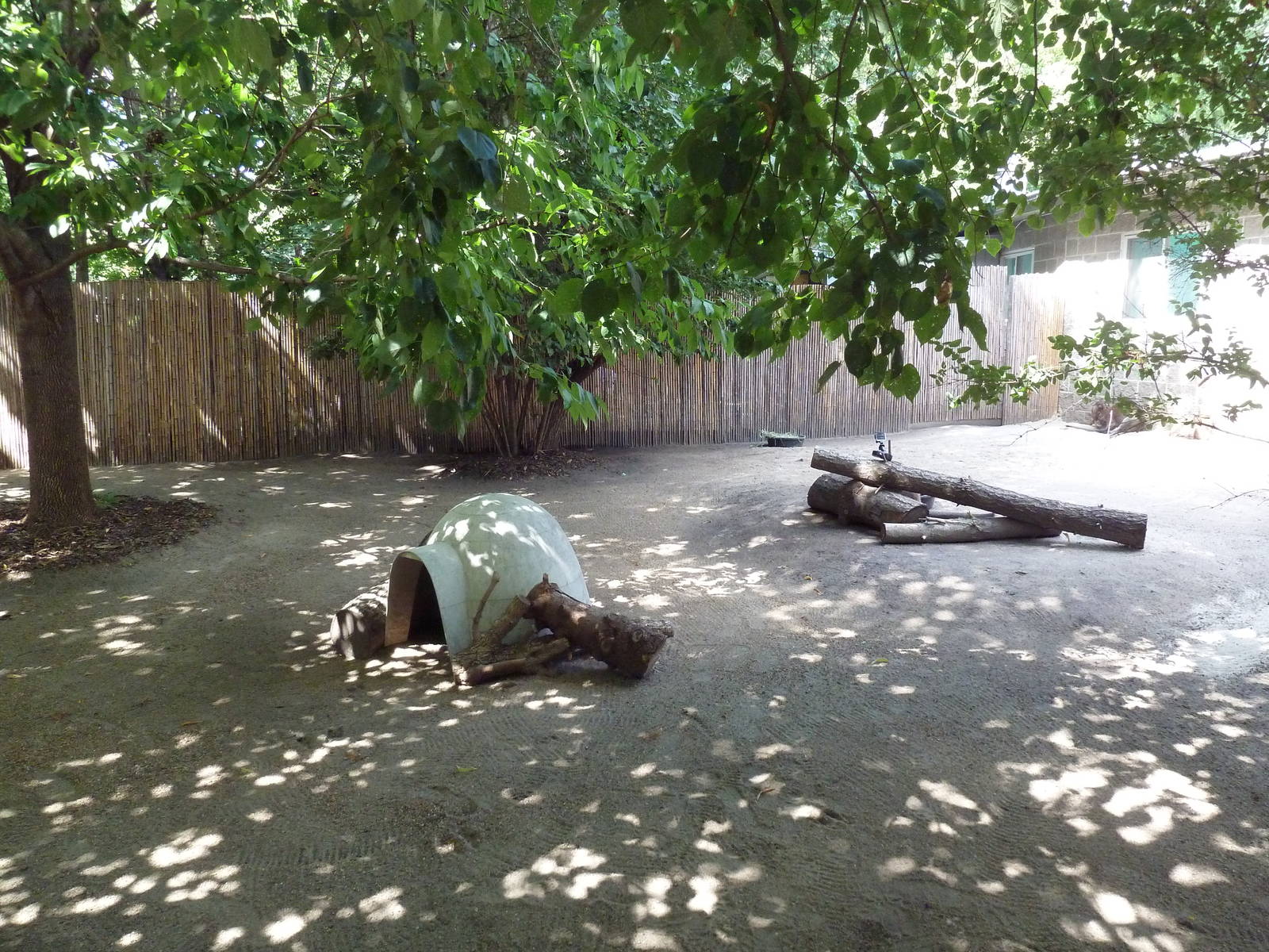 Bennett's Wallaby/Tammar Wallaby/Reeve's Muntjac Exhibit